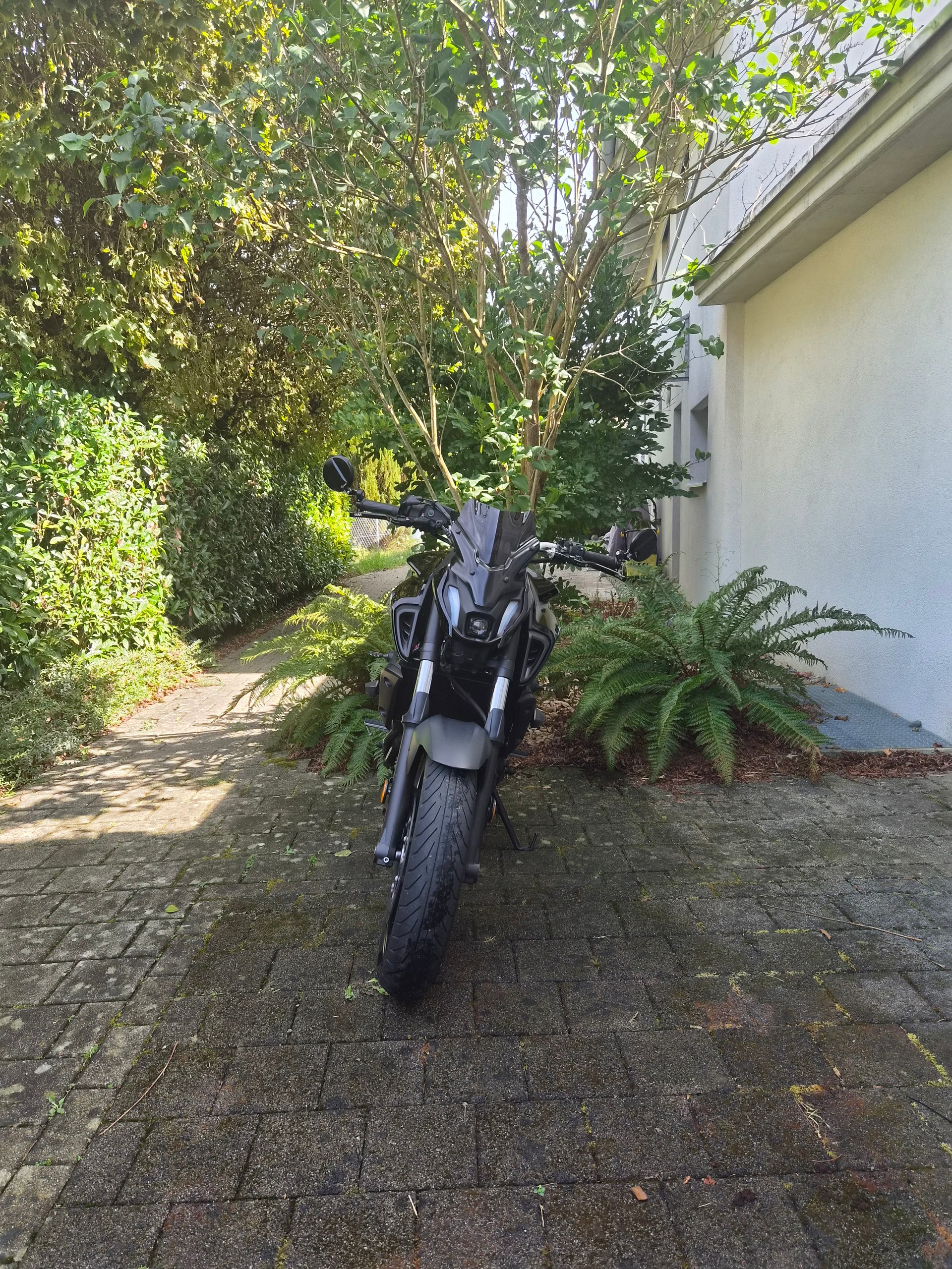 YAMAHA MT-07-image-4