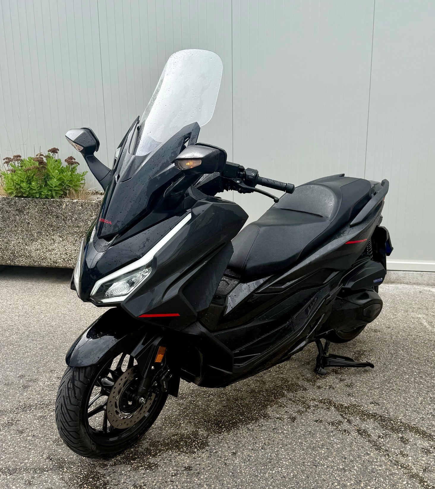 HONDA Forza 350 Special Edition 2025-image-1