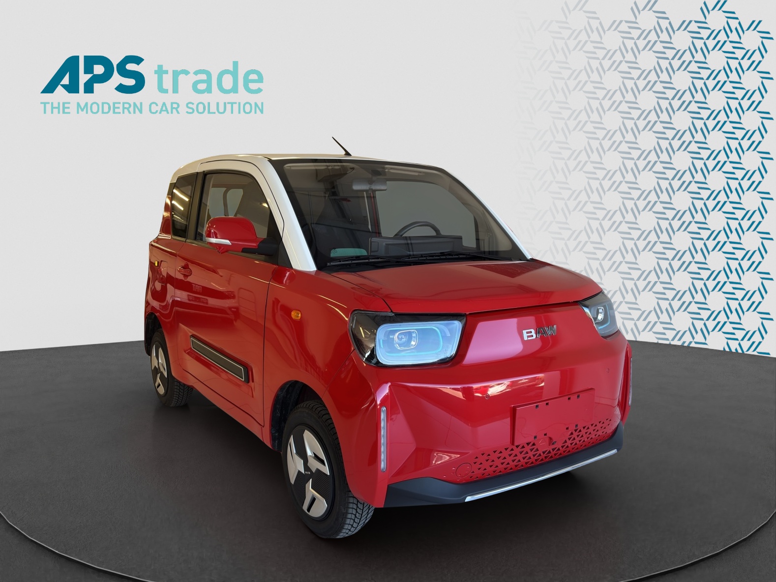 BAW Pony Electric