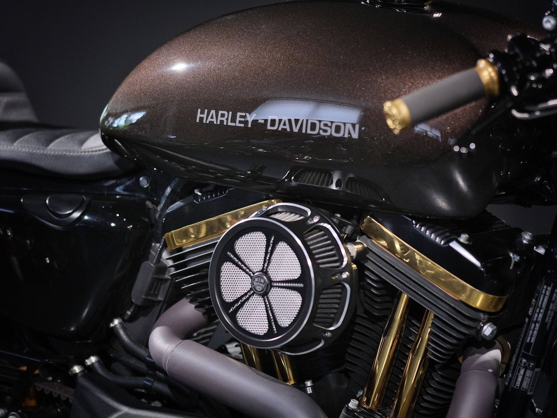 HARLEY-DAVIDSON XL 1200 X Forty Eight-image-5