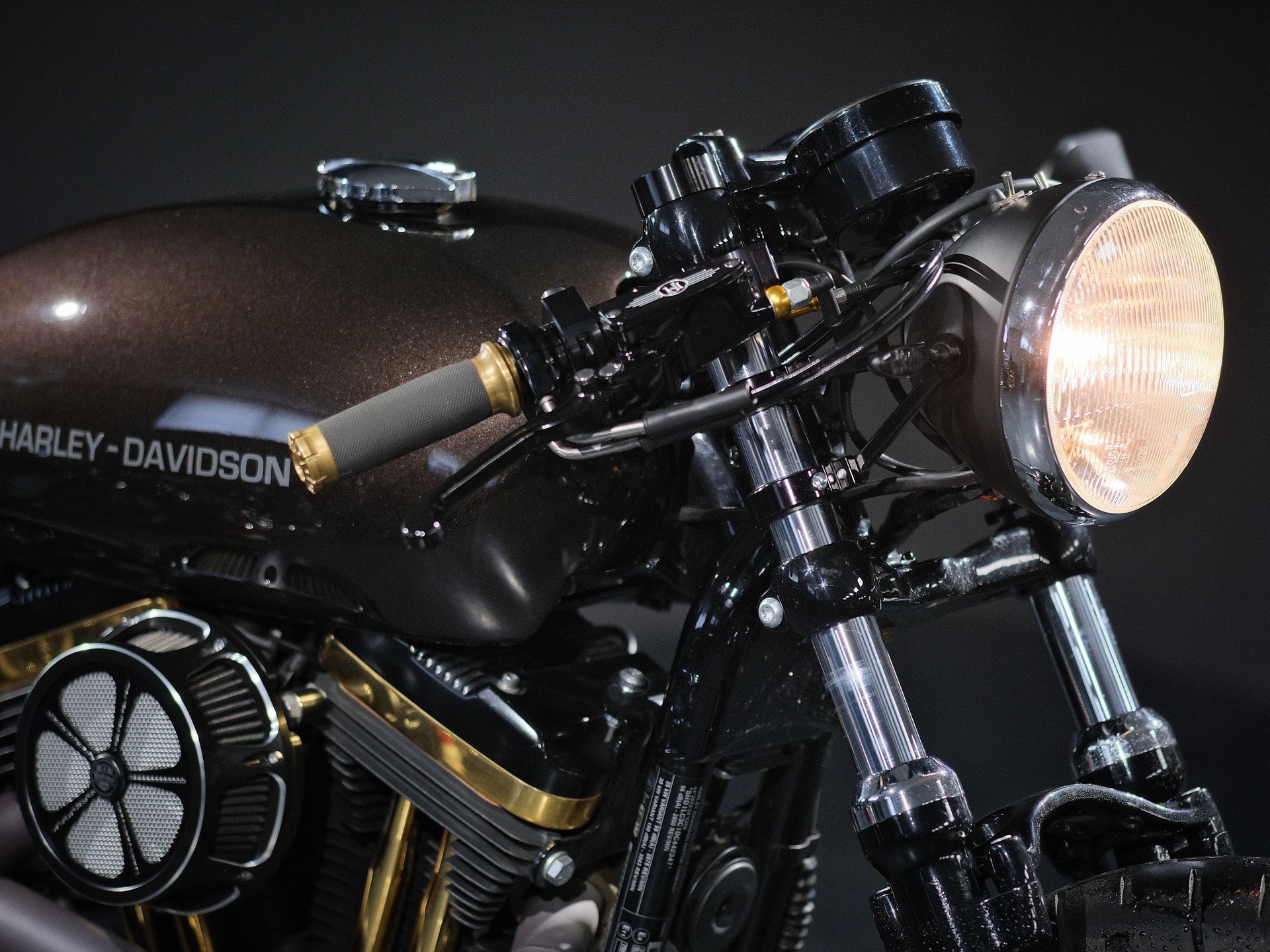 HARLEY-DAVIDSON XL 1200 X Forty Eight-image-7