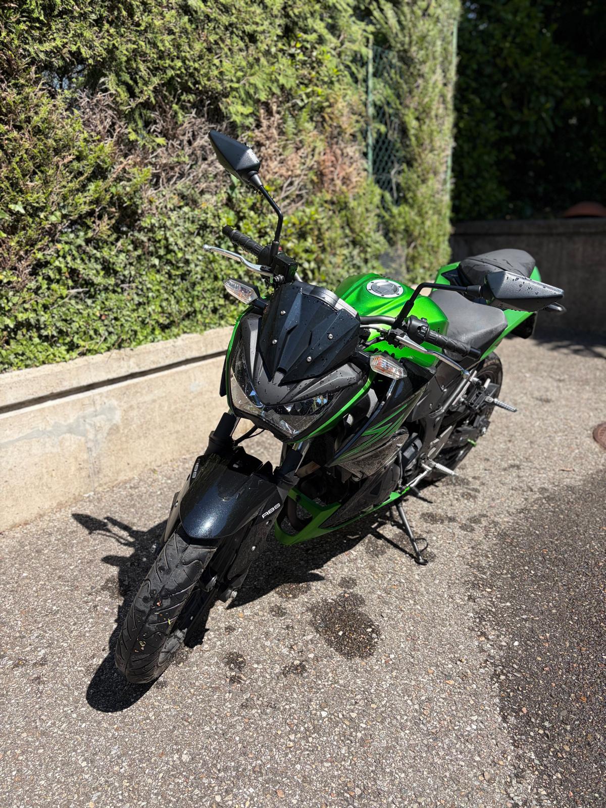 KAWASAKI Z 300 ABS-image-4