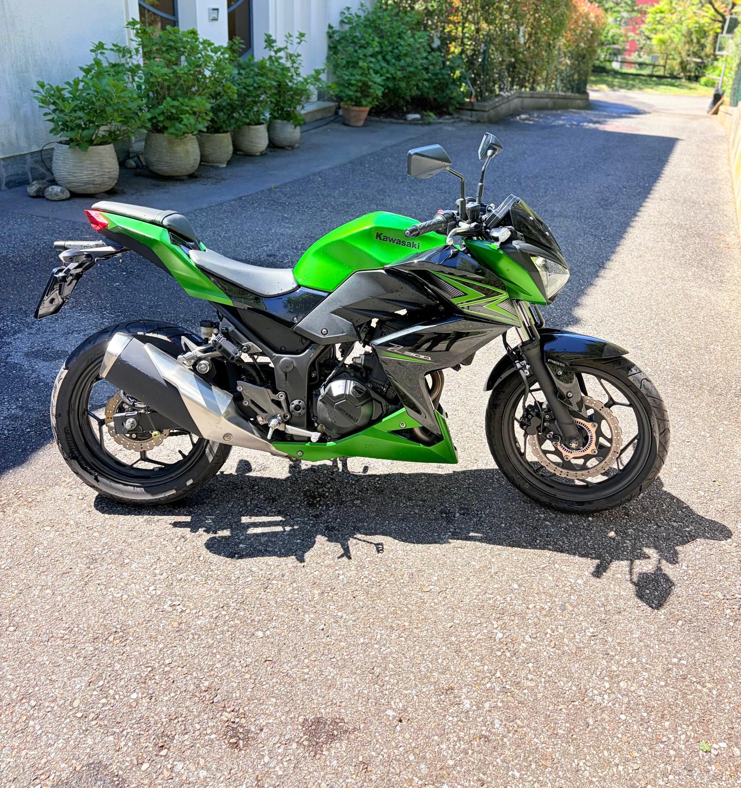 KAWASAKI Z 300 ABS-showroom-element-2