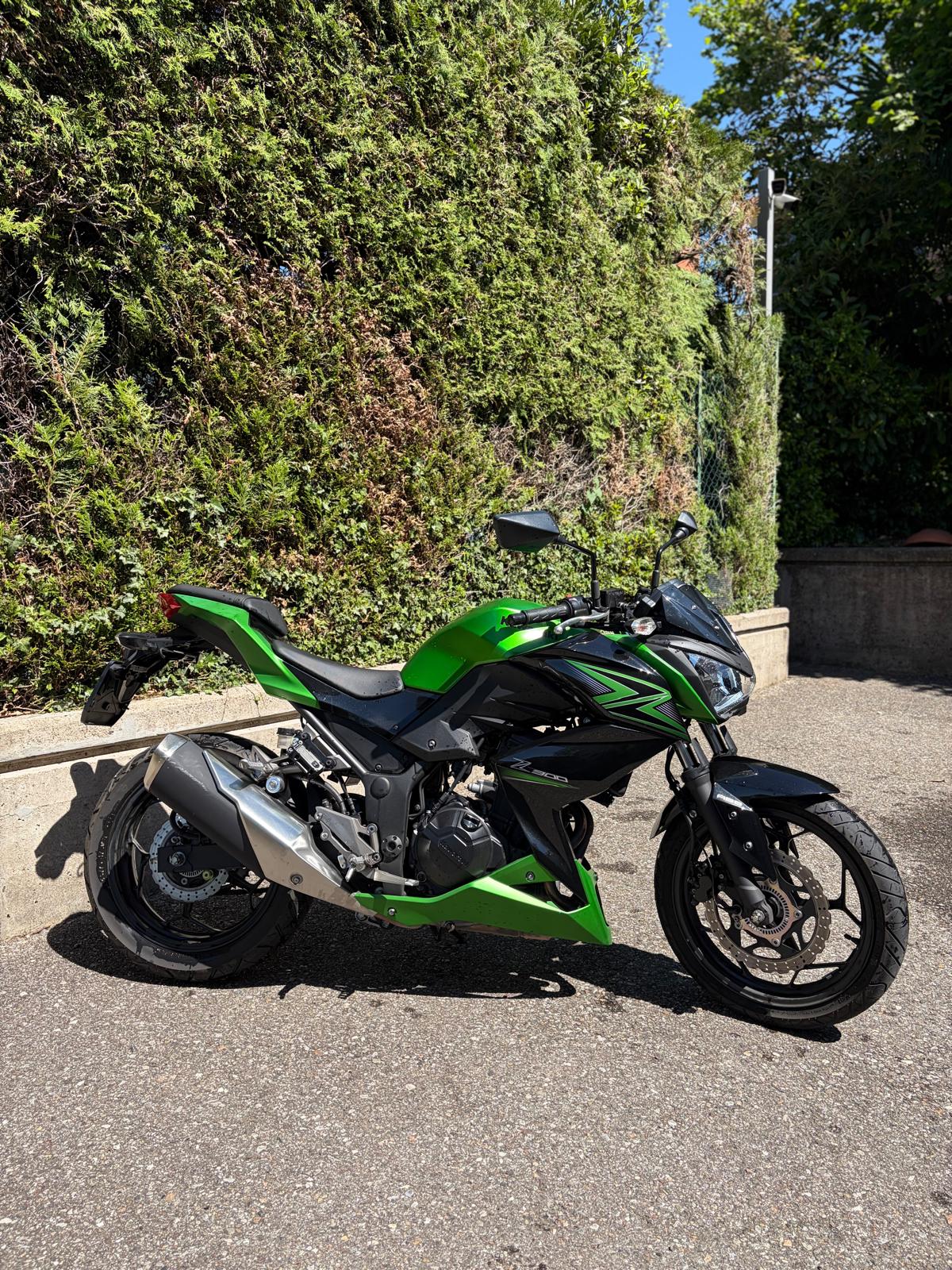 KAWASAKI Z 300 ABS-showroom-element-3
