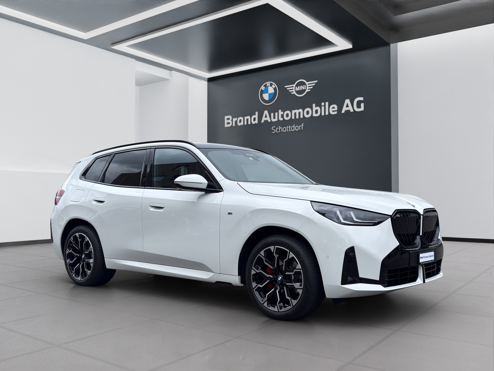 BMW X3 20d xDrive-image-6