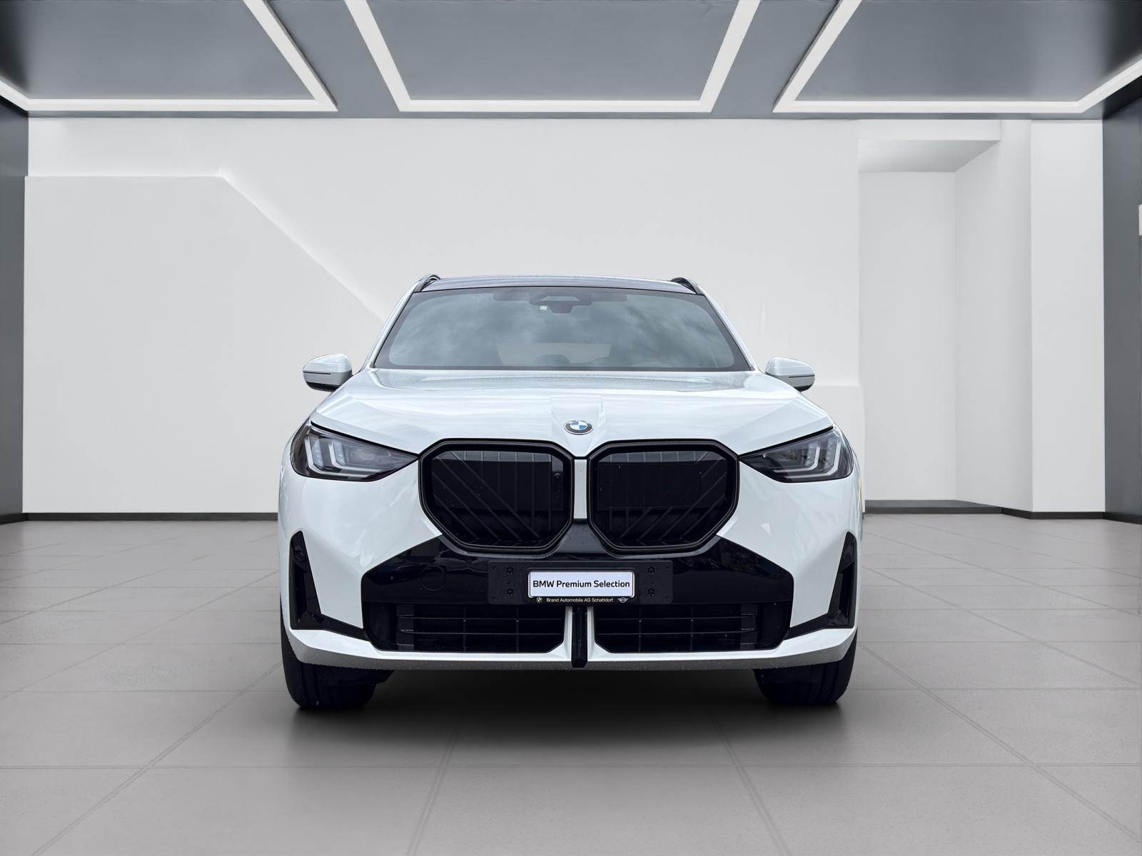 BMW X3 20d xDrive-image-7