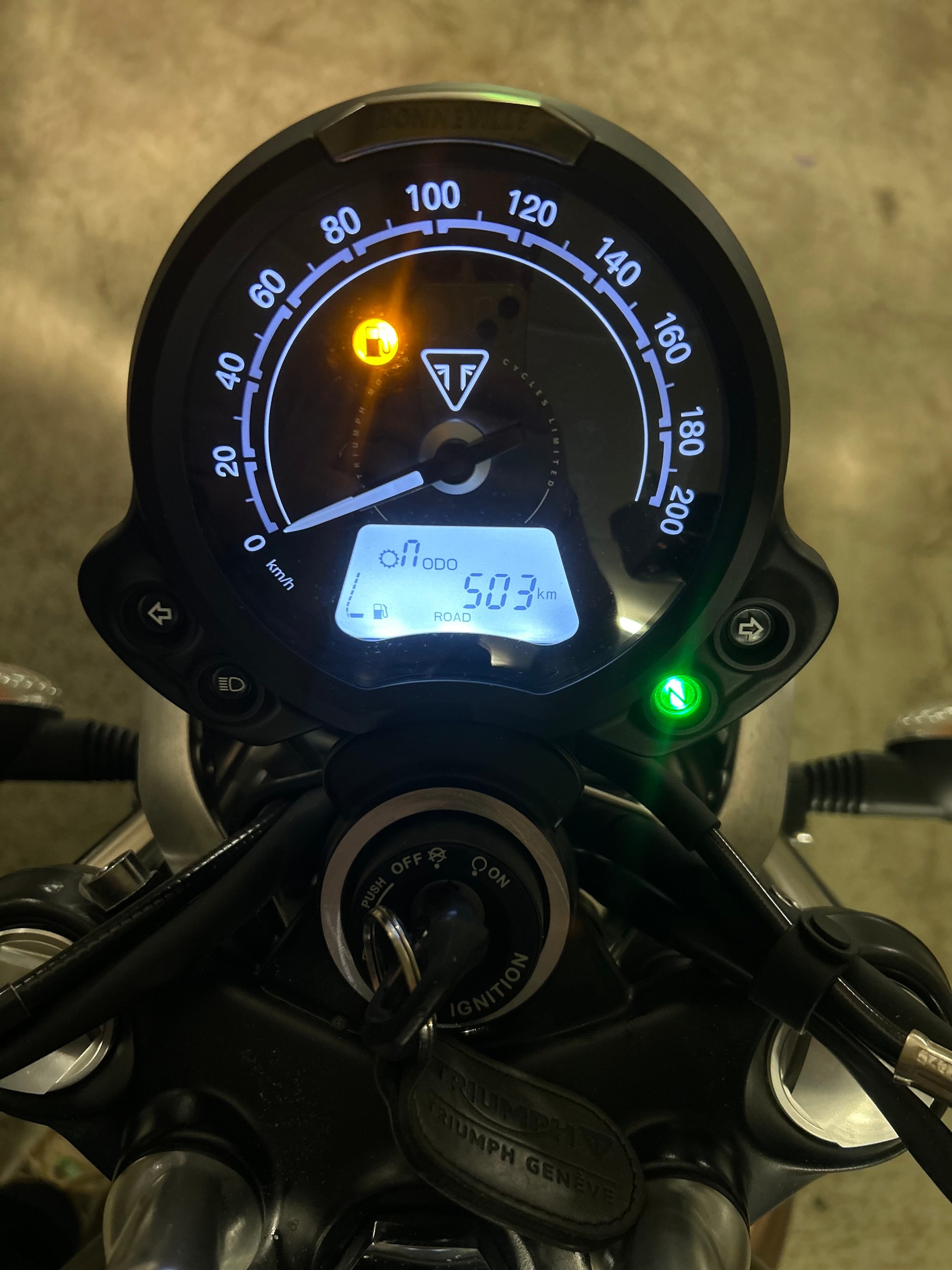 TRIUMPH Street Twin 900 Gold Line (35kW)-image-3