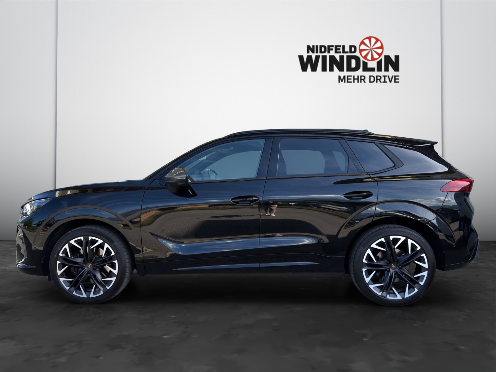 CUPRA Terramar 2.0 TSI VZ 4Drive DSG-showroom-element-2