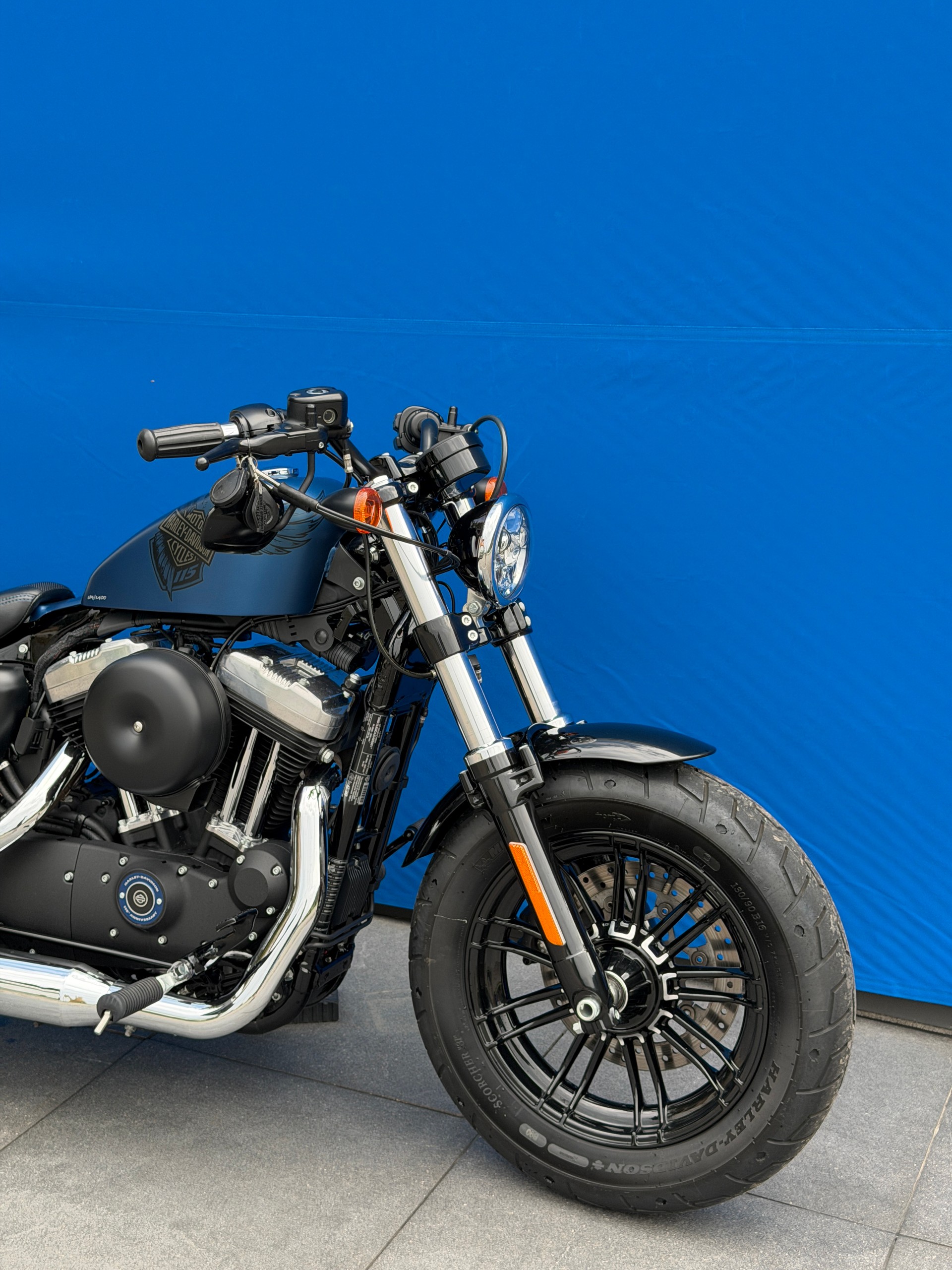 HARLEY-DAVIDSON XL 1200 XANX Forty Eight Anniversary X ABS-image-1