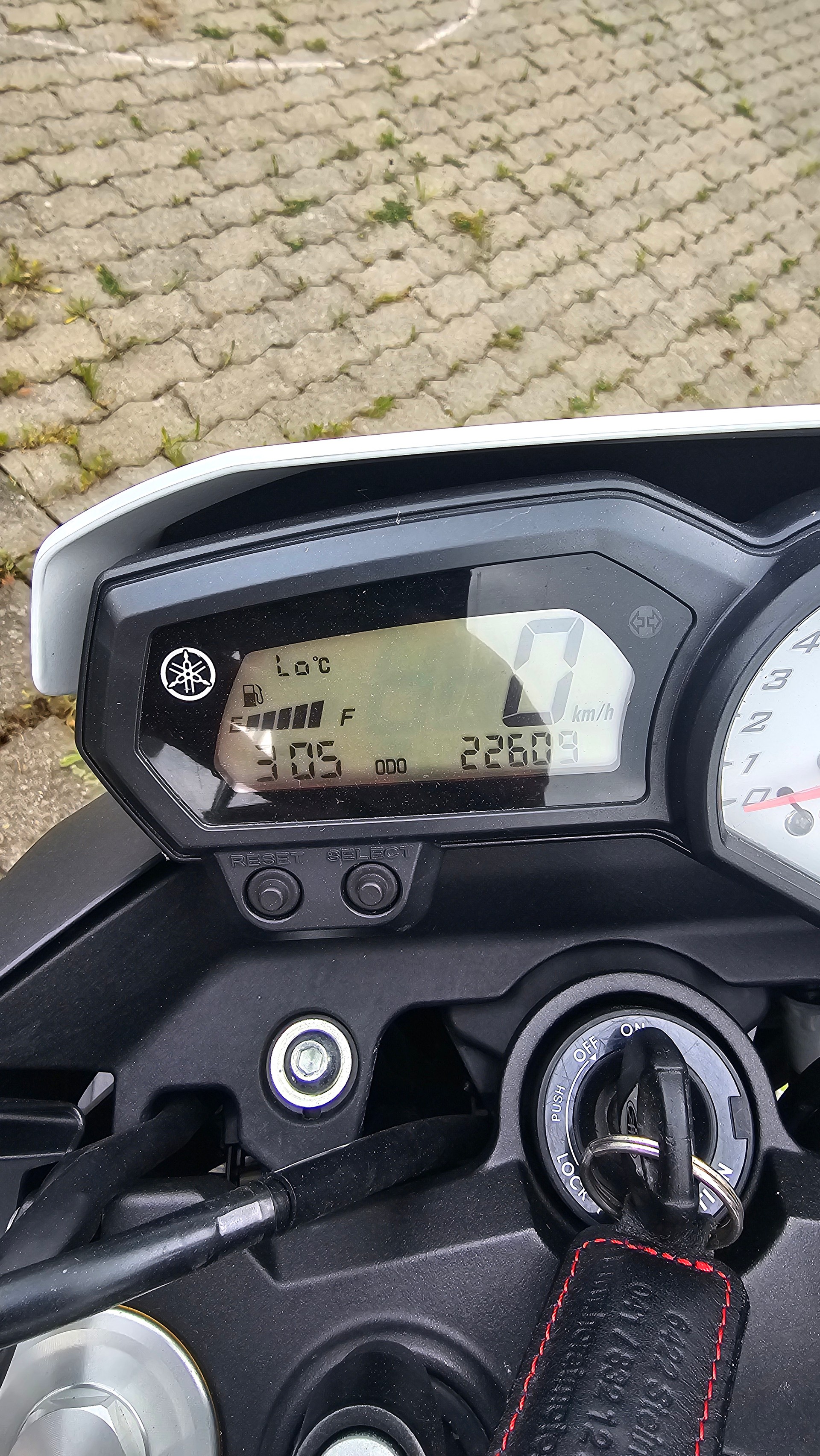 YAMAHA FZ8 N ABS-image-3
