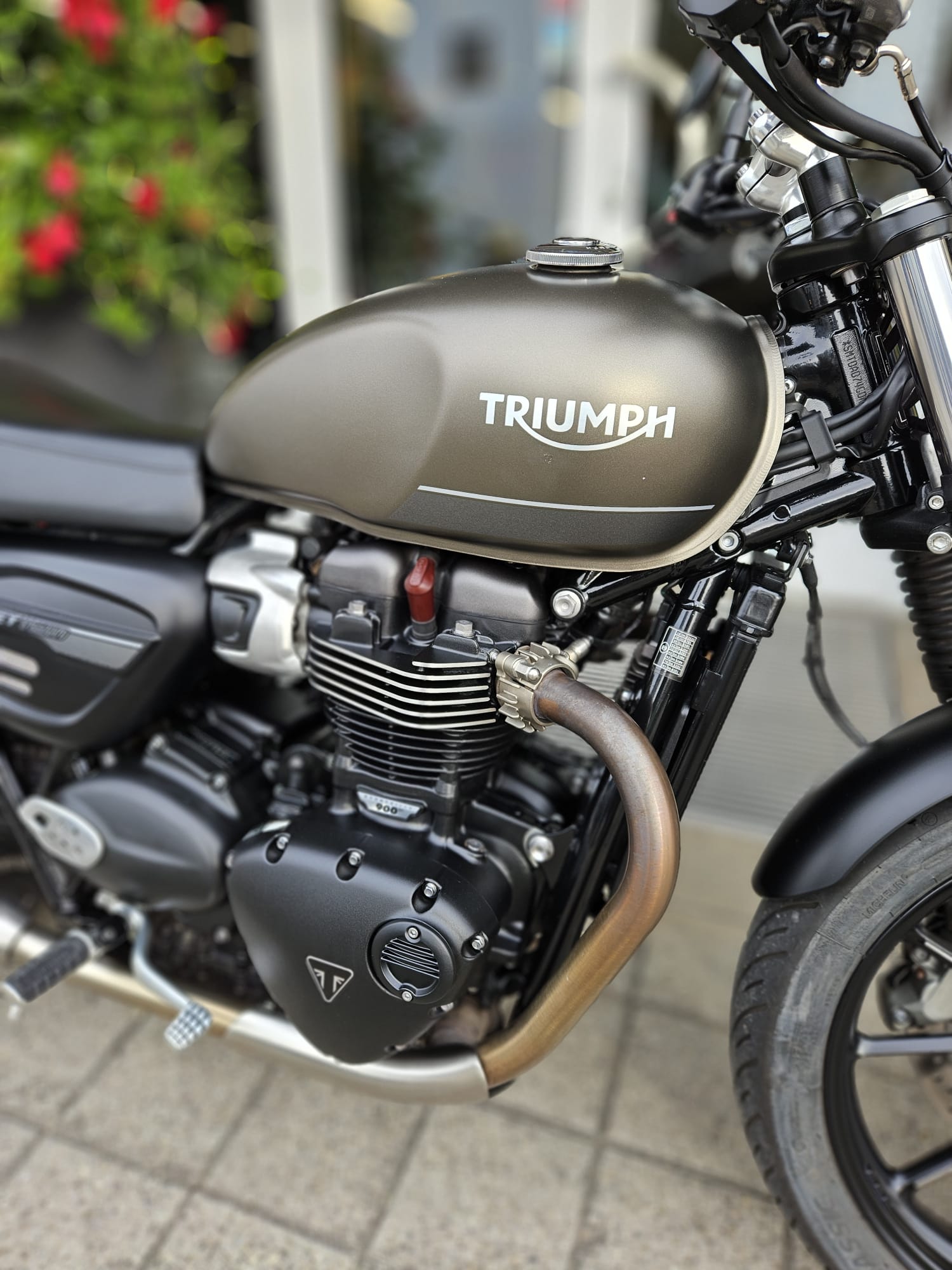 TRIUMPH Street Twin 900-image-12