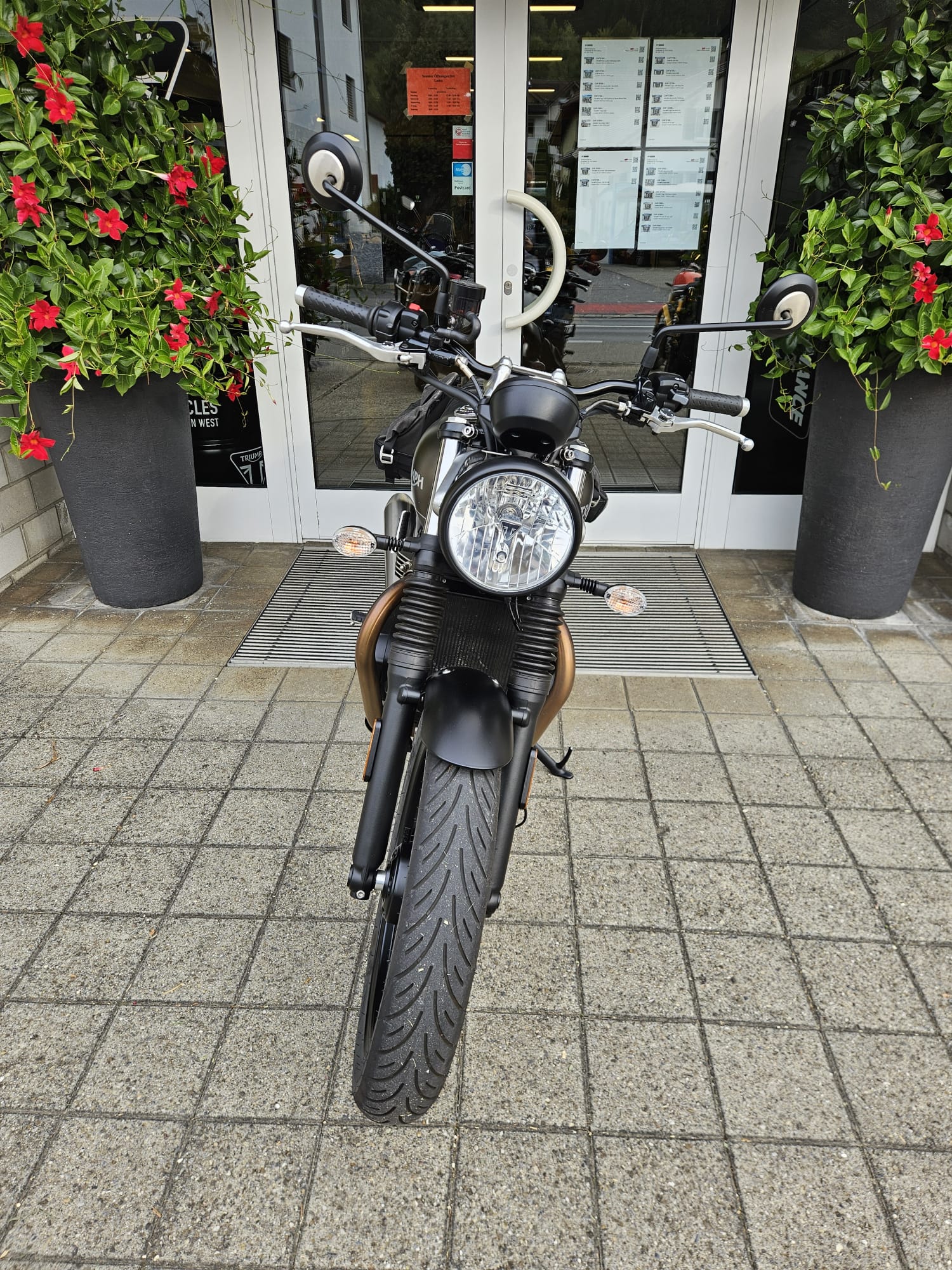 TRIUMPH Street Twin 900-image-6