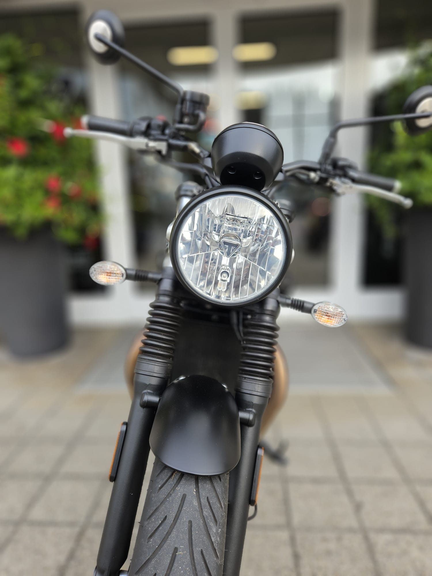 TRIUMPH Street Twin 900-image-7
