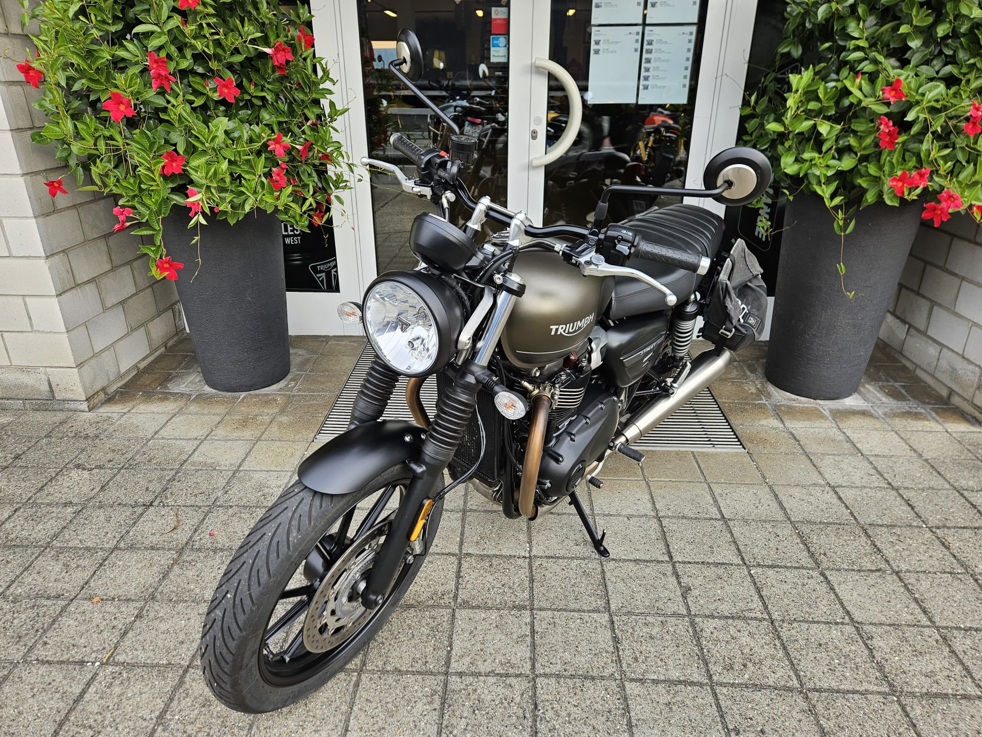TRIUMPH Street Twin 900-image-3