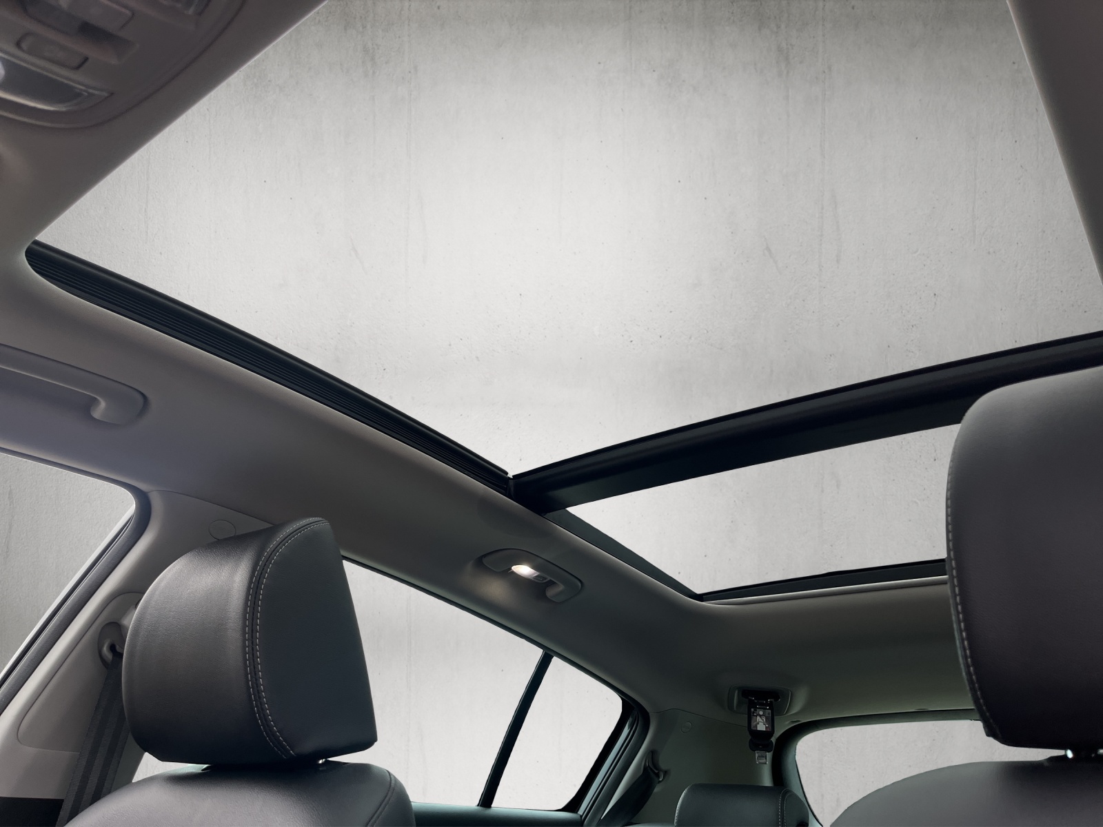 KIA Sportage 1.6 CRDi MHEV Black Edition-image-15