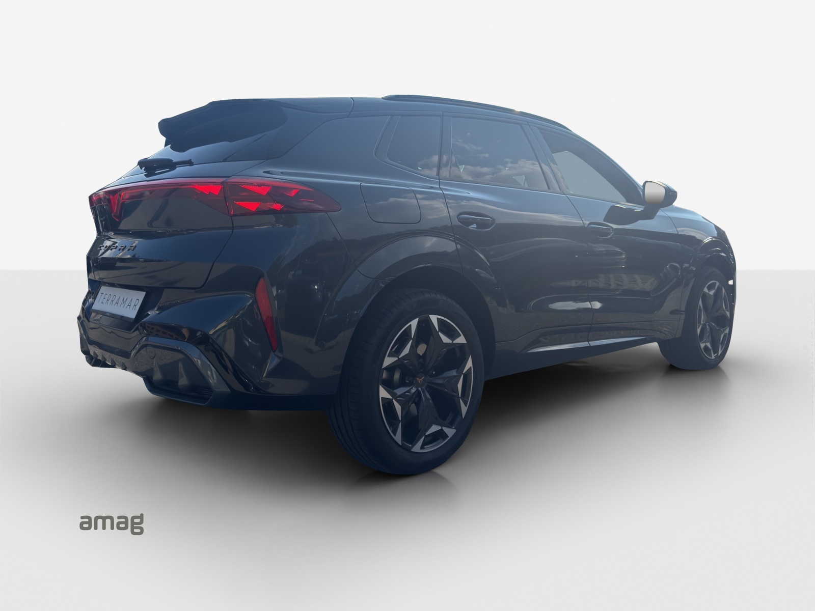 CUPRA Terramar 2.0 TSI DSG 4Drive VZ-image-4