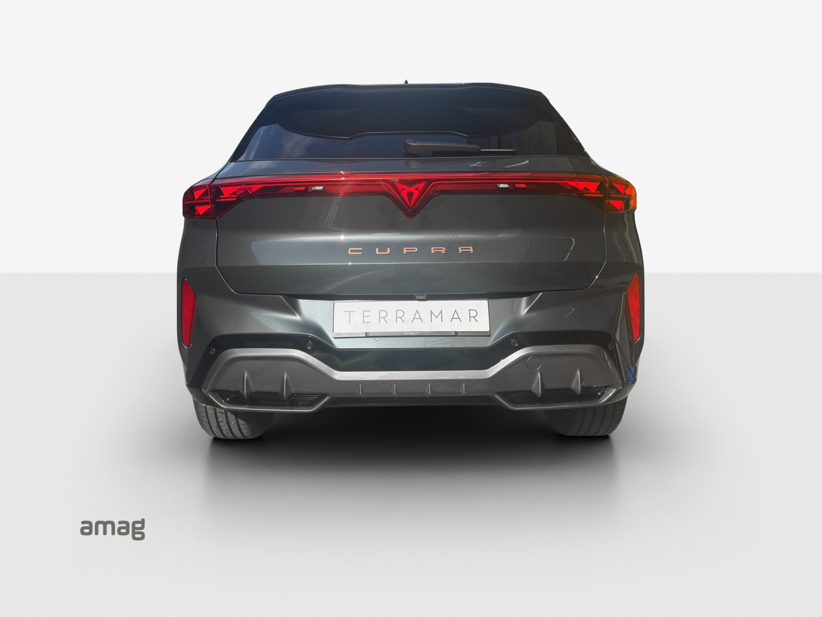 CUPRA Terramar 2.0 TSI DSG 4Drive VZ-showroom-element-3