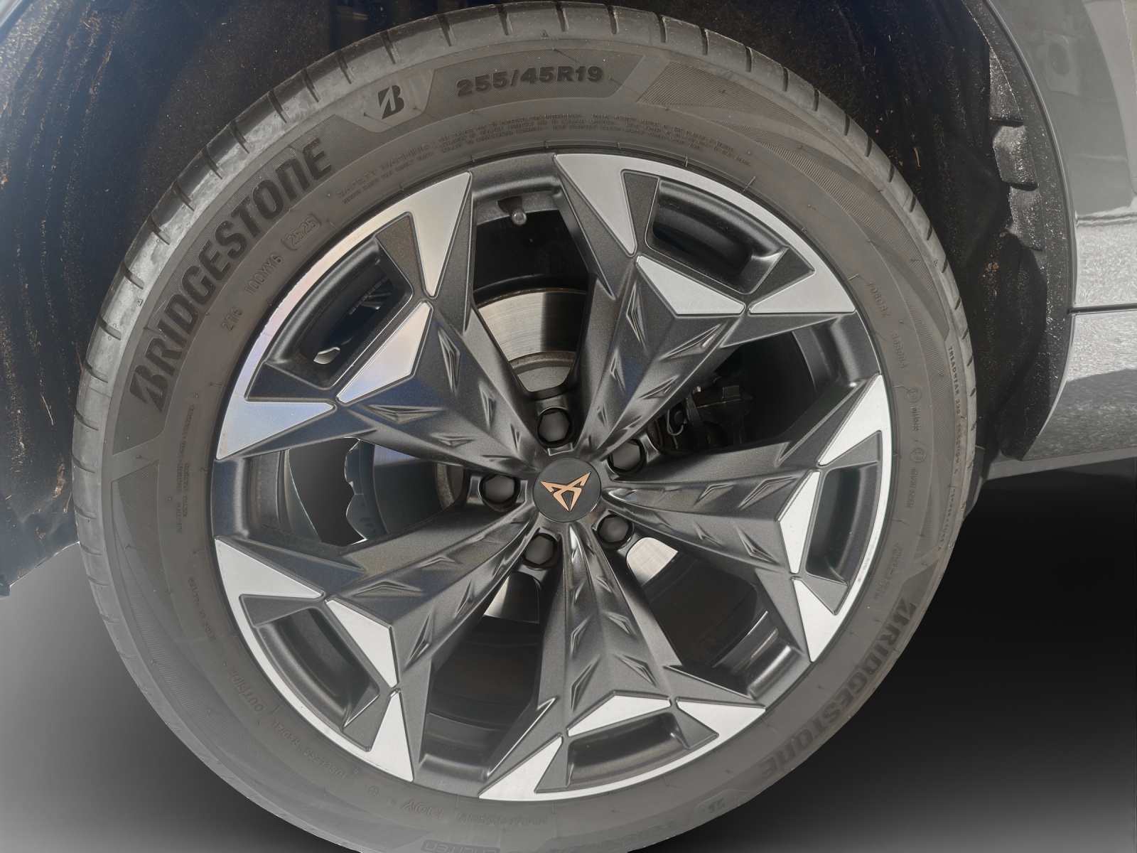 CUPRA Terramar 2.0 TSI DSG 4Drive VZ-image-13