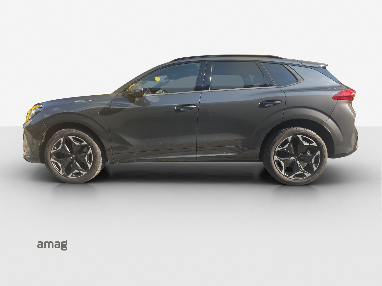 CUPRA Terramar 2.0 TSI DSG 4Drive VZ-showroom-element-1