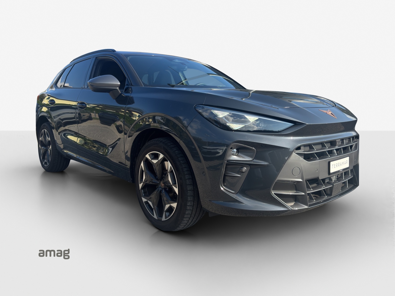 CUPRA Terramar 2.0 TSI DSG 4Drive VZ-image-5