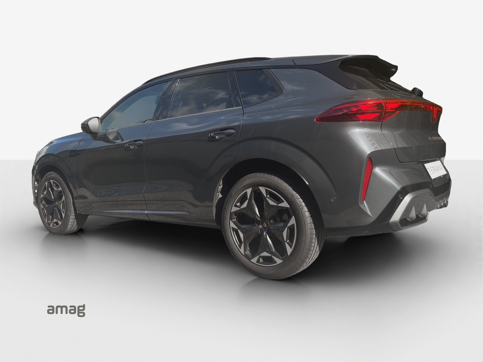 CUPRA Terramar 2.0 TSI DSG 4Drive VZ-showroom-element-2