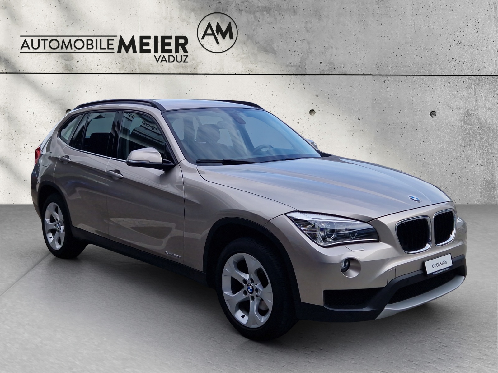 BMW X1 E84 20d xDrive-image-12