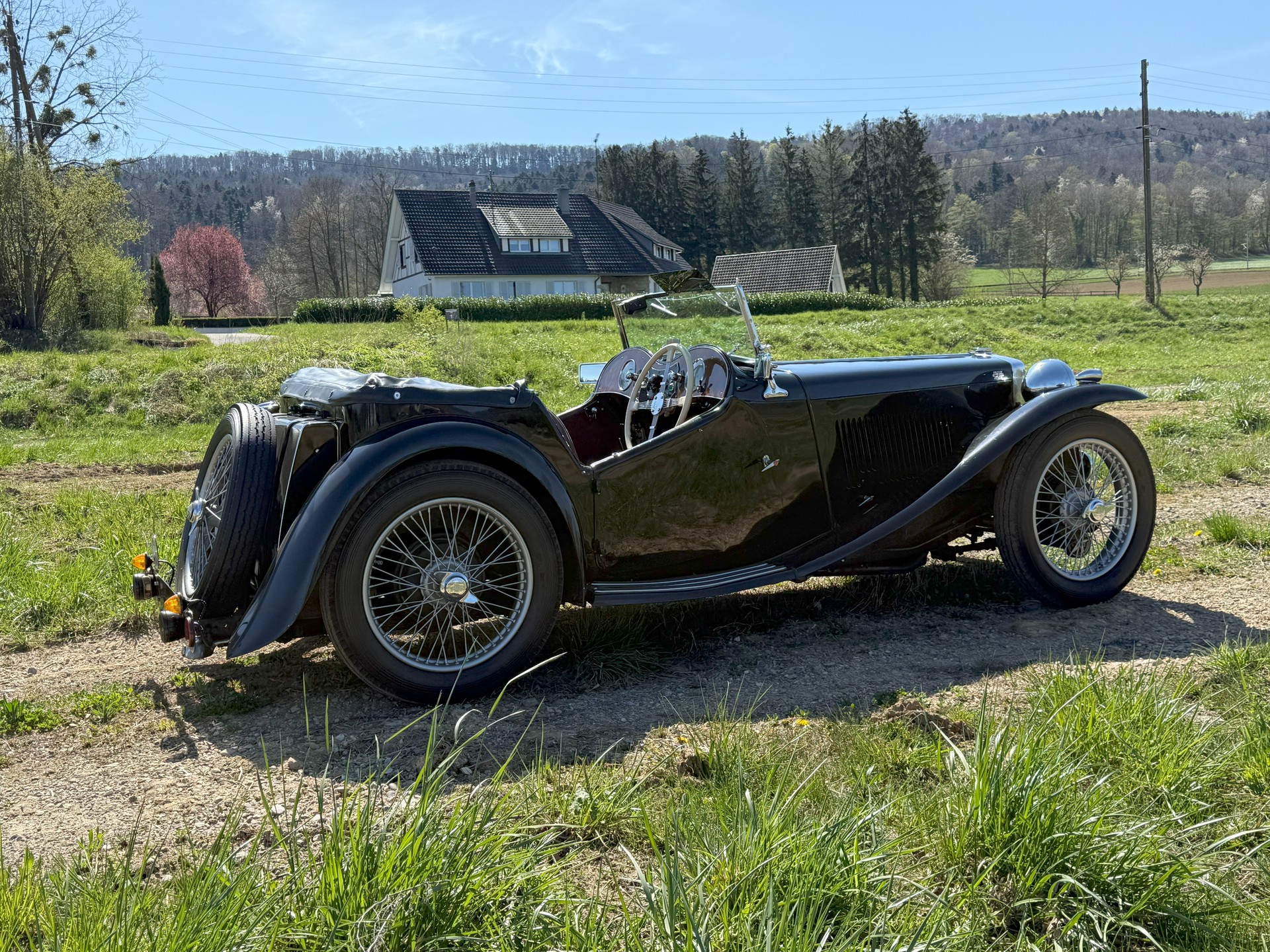 MG TA-image-3