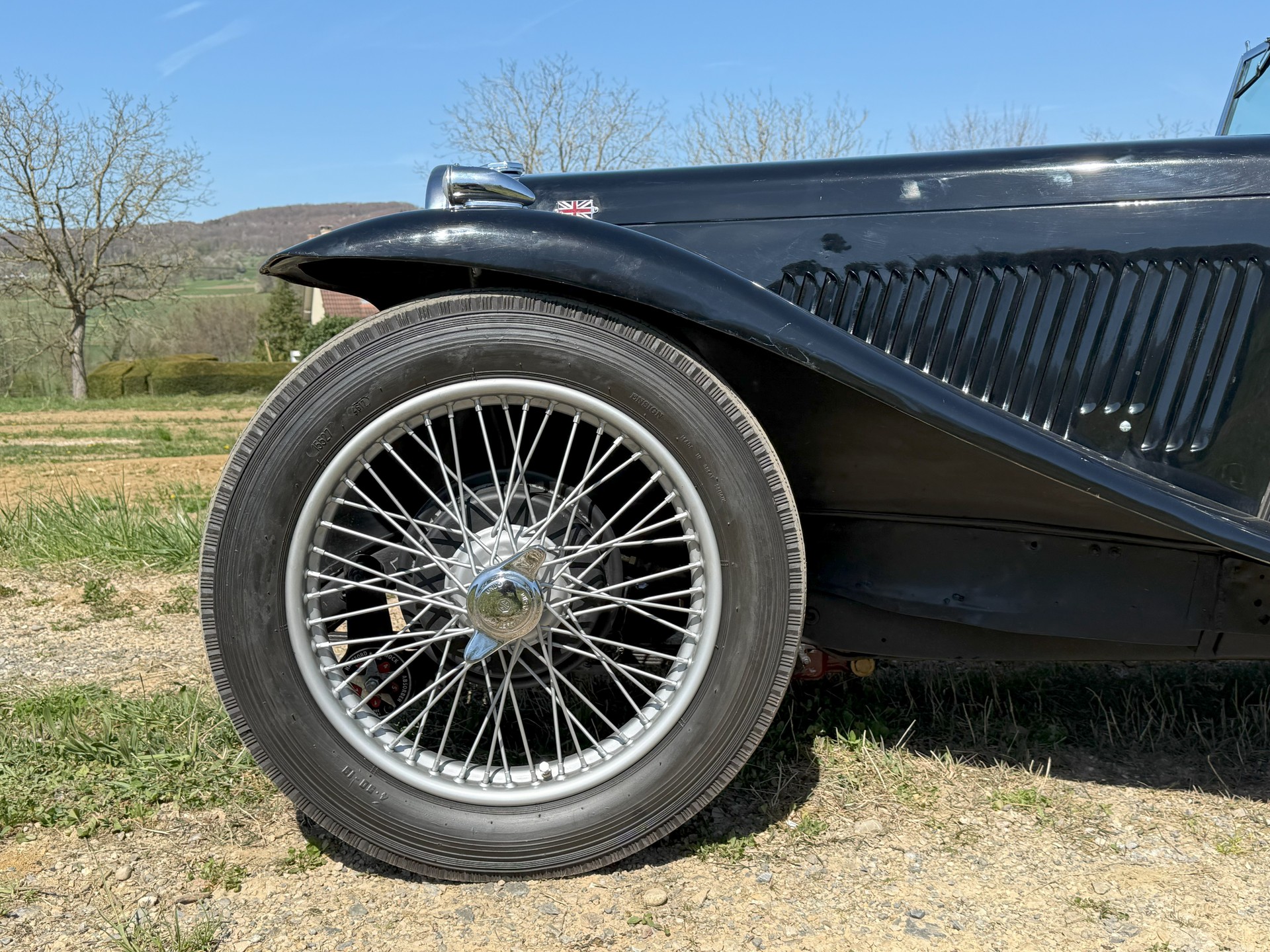 MG TA-image-1
