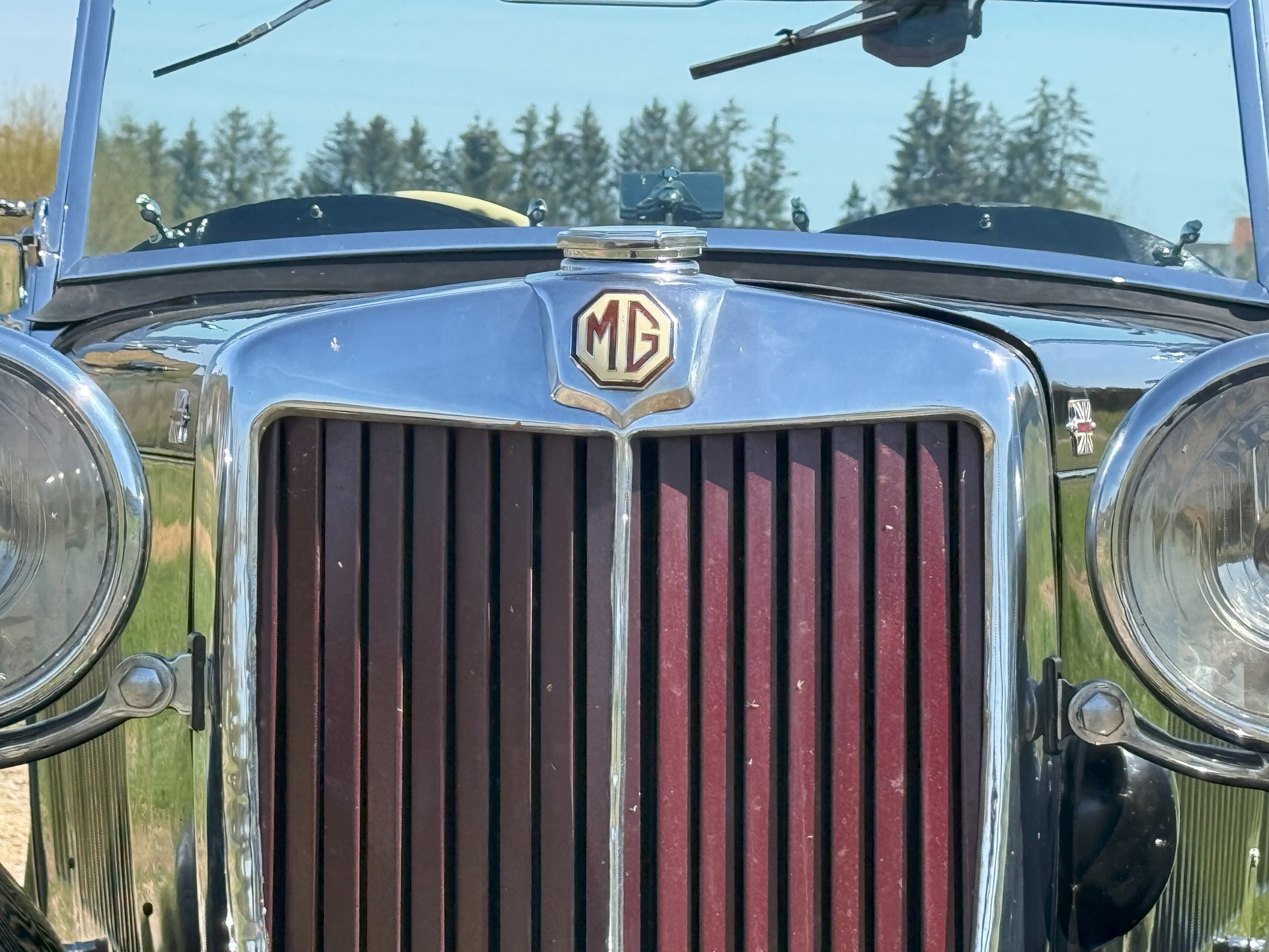 MG TA-image-7