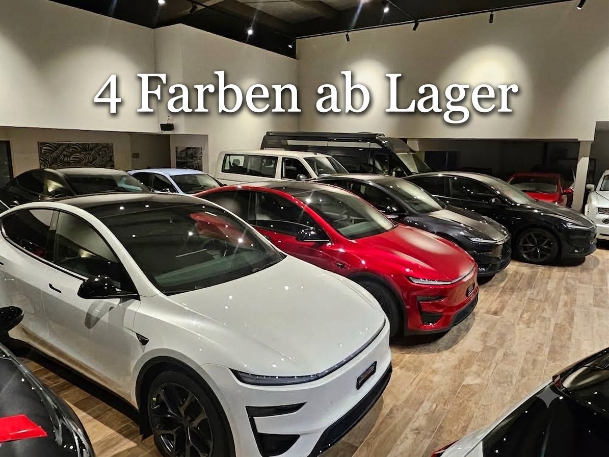 TESLA Model Y Performance AWD đ„AHKđ„-image-25