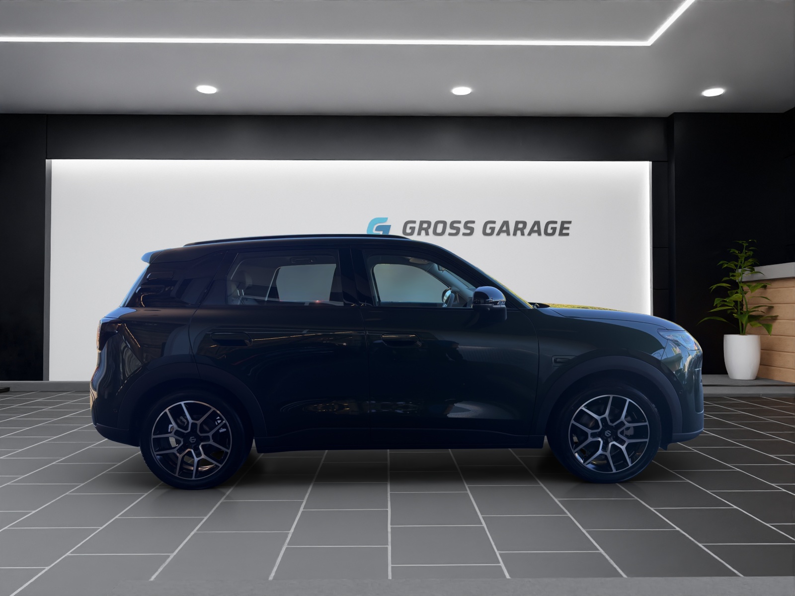 LEAPMOTOR B03X 53kWh-showroom-element-2