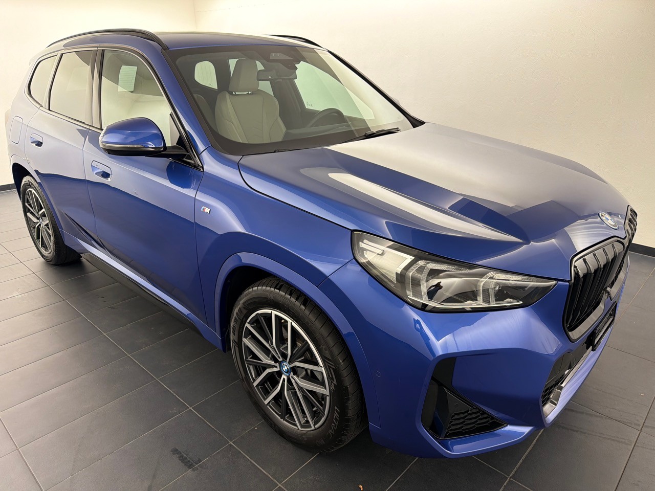 BMW X1 xDrive 25e M Sport-showroom-element-3