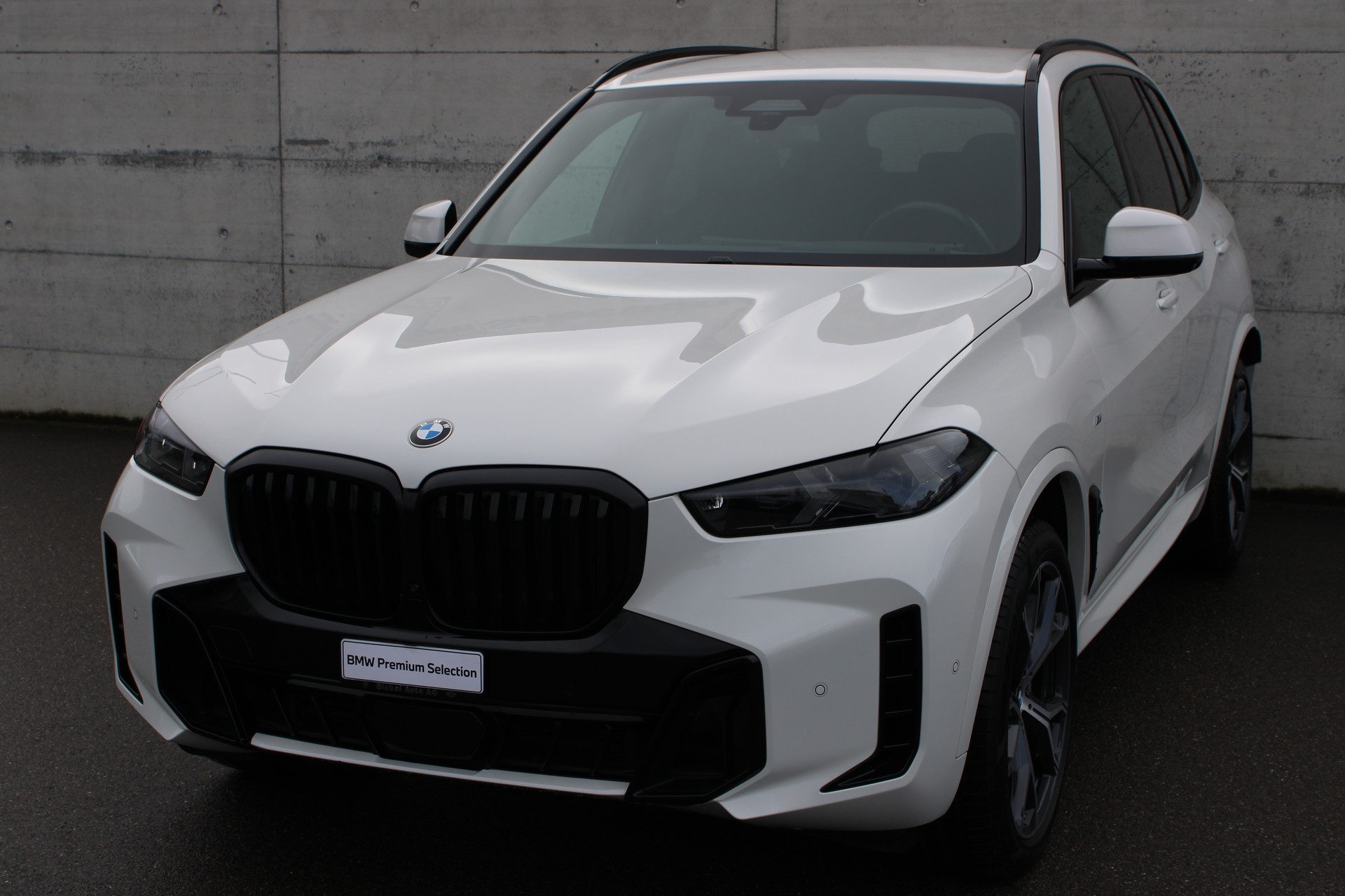 BMW X5 xD 48V 30d M Sport Pro-showroom-element-2