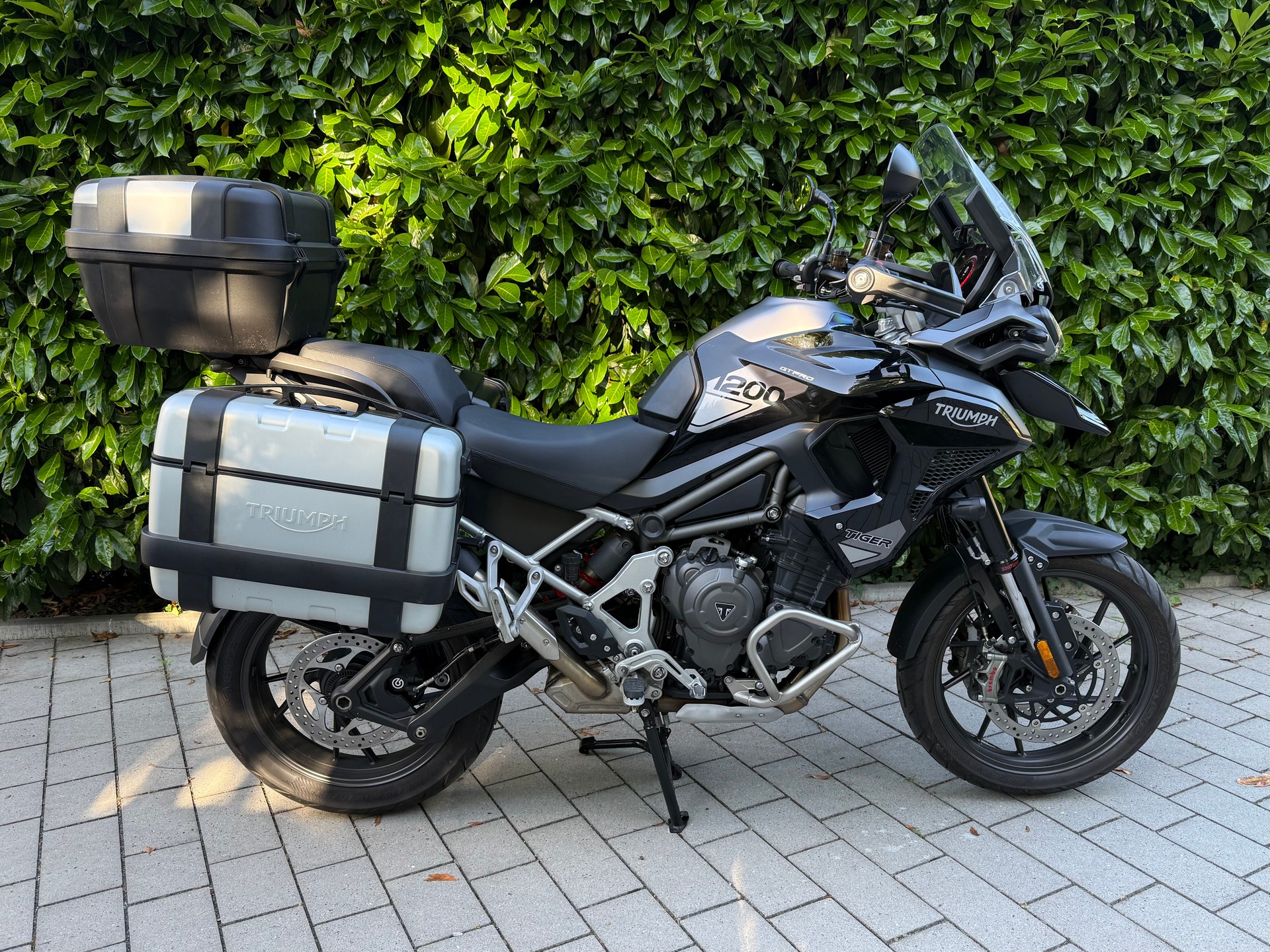 TRIUMPH Tiger 1200 GT Pro-image-5