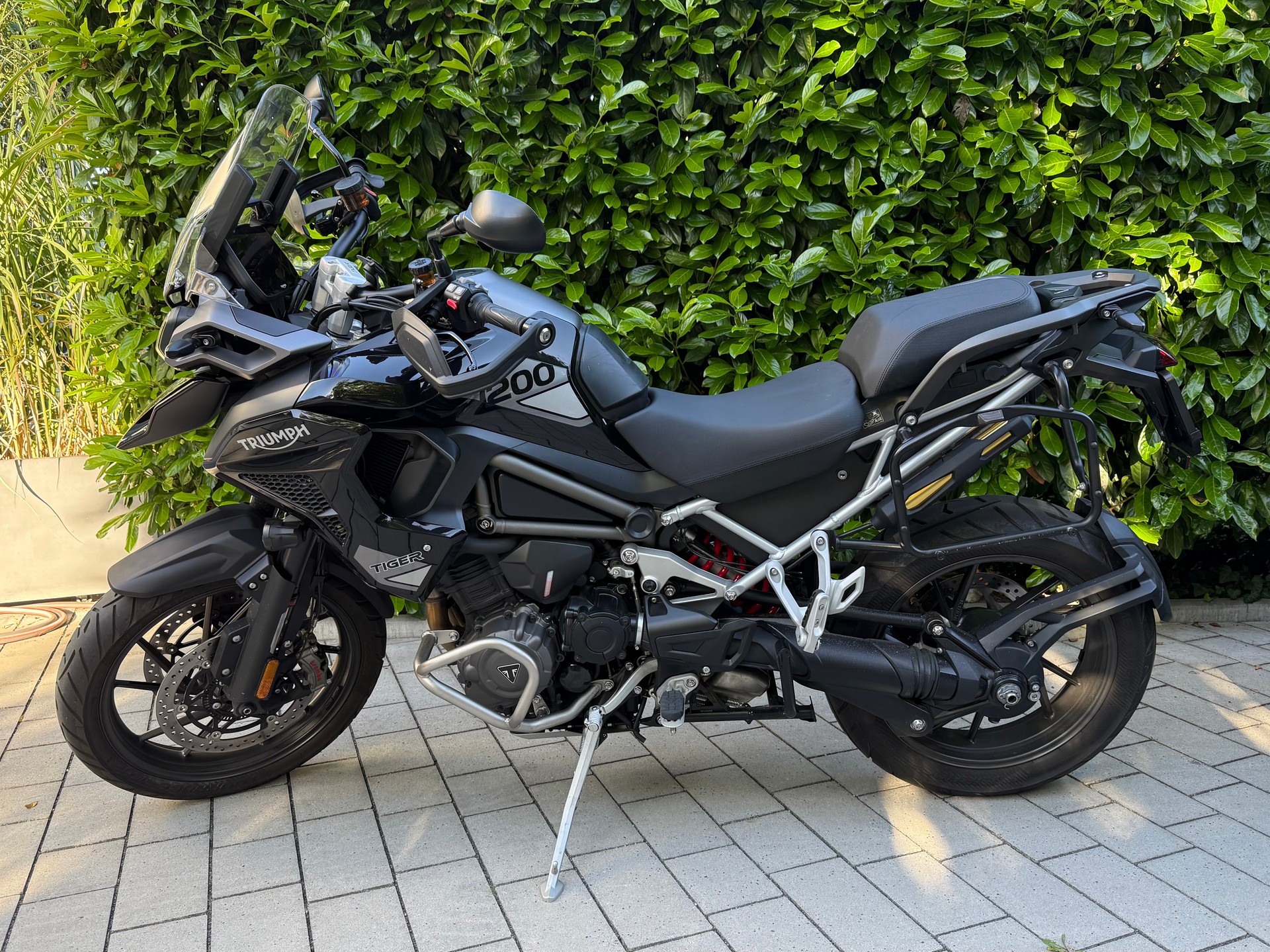 TRIUMPH Tiger 1200 GT Pro-image-1