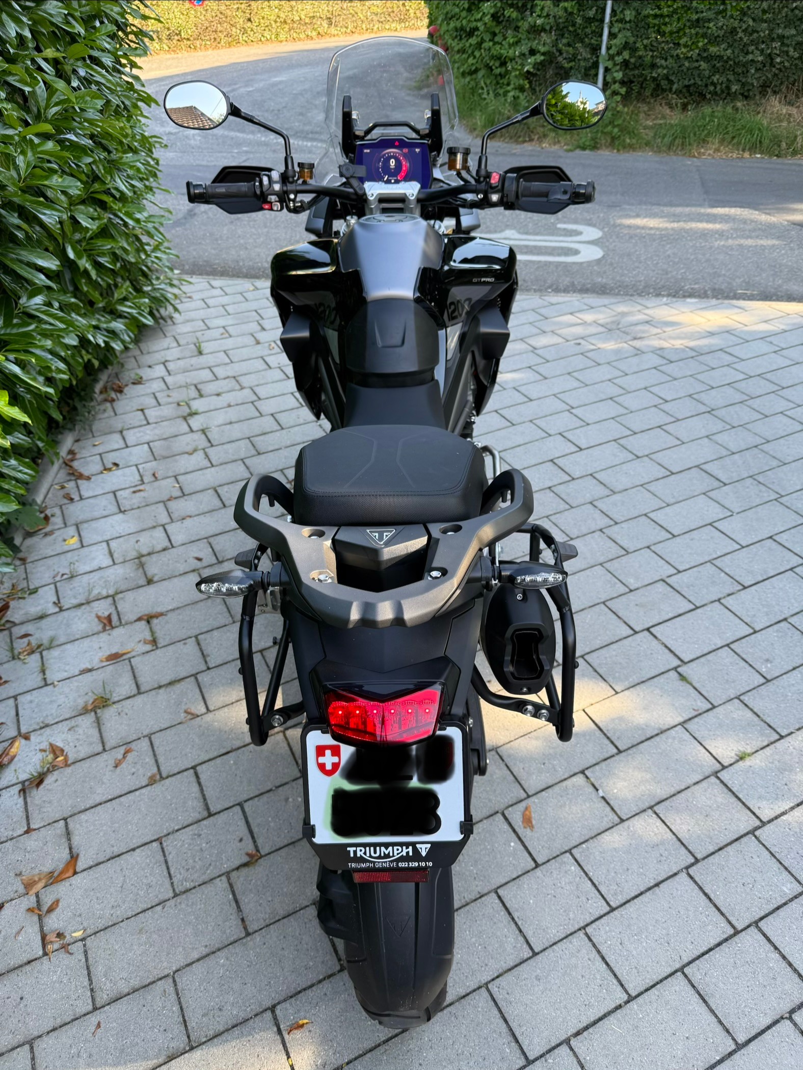 TRIUMPH Tiger 1200 GT Pro-image-3