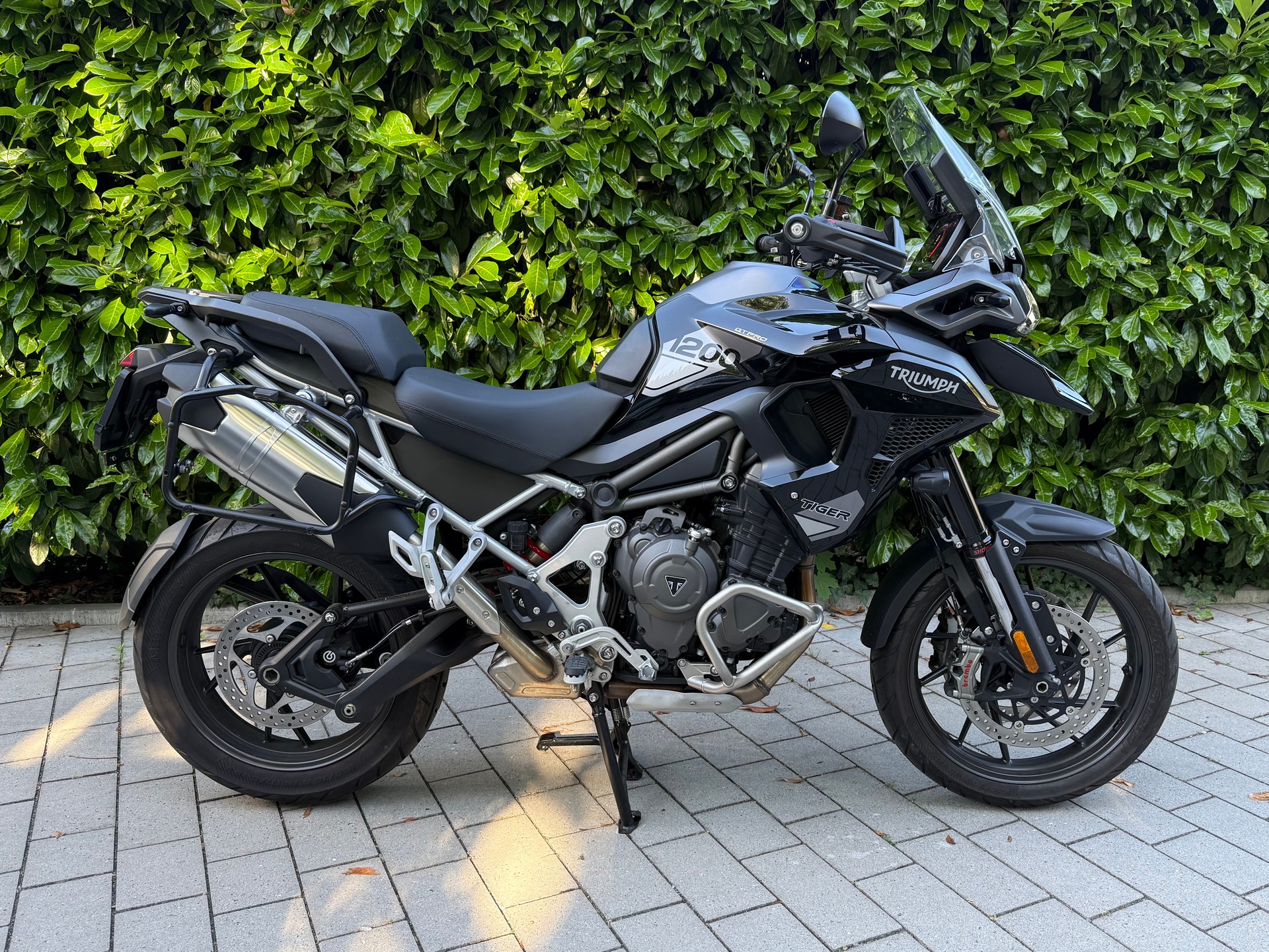 TRIUMPH Tiger 1200 GT Pro-image-0