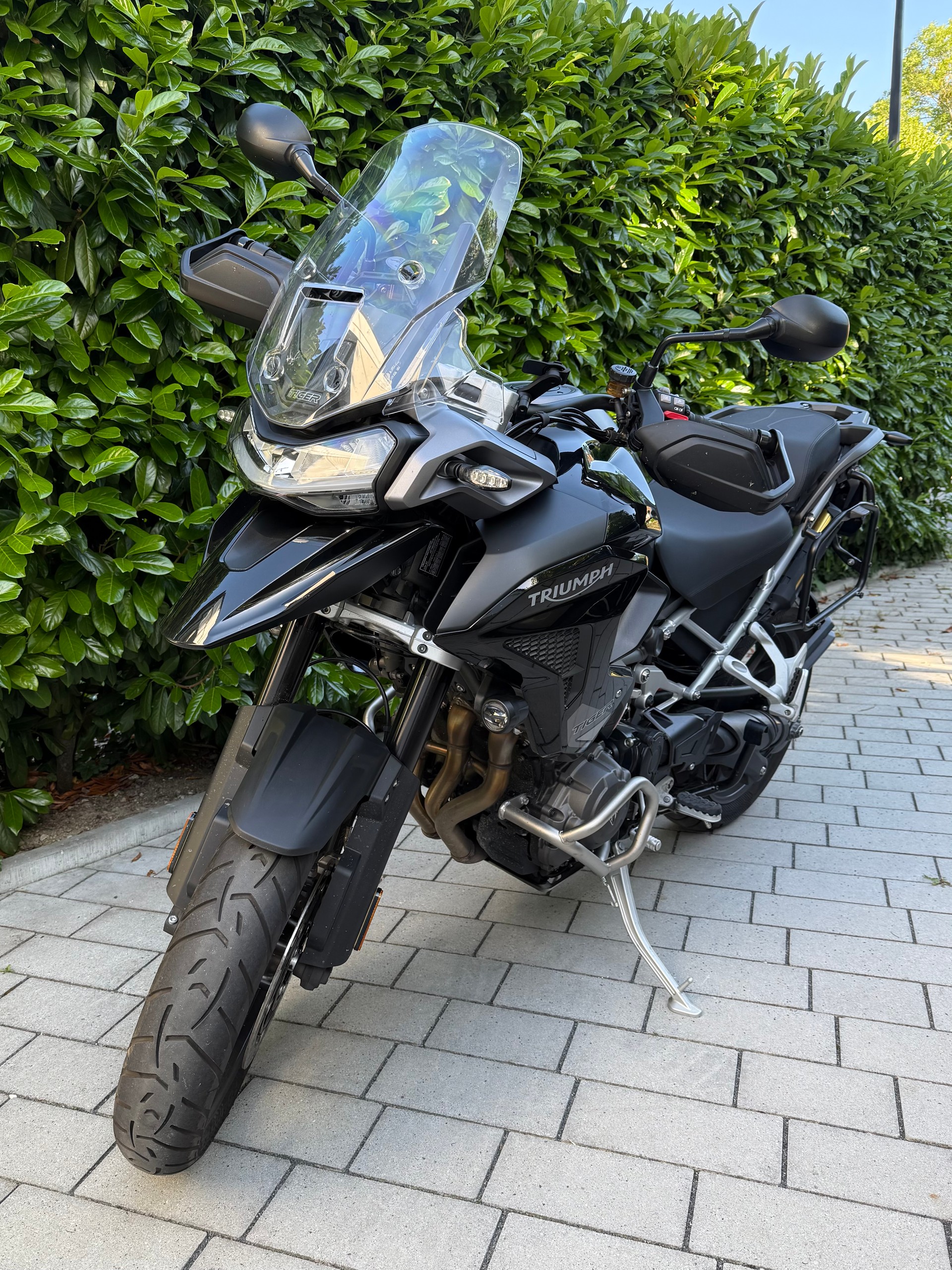 TRIUMPH Tiger 1200 GT Pro-image-2
