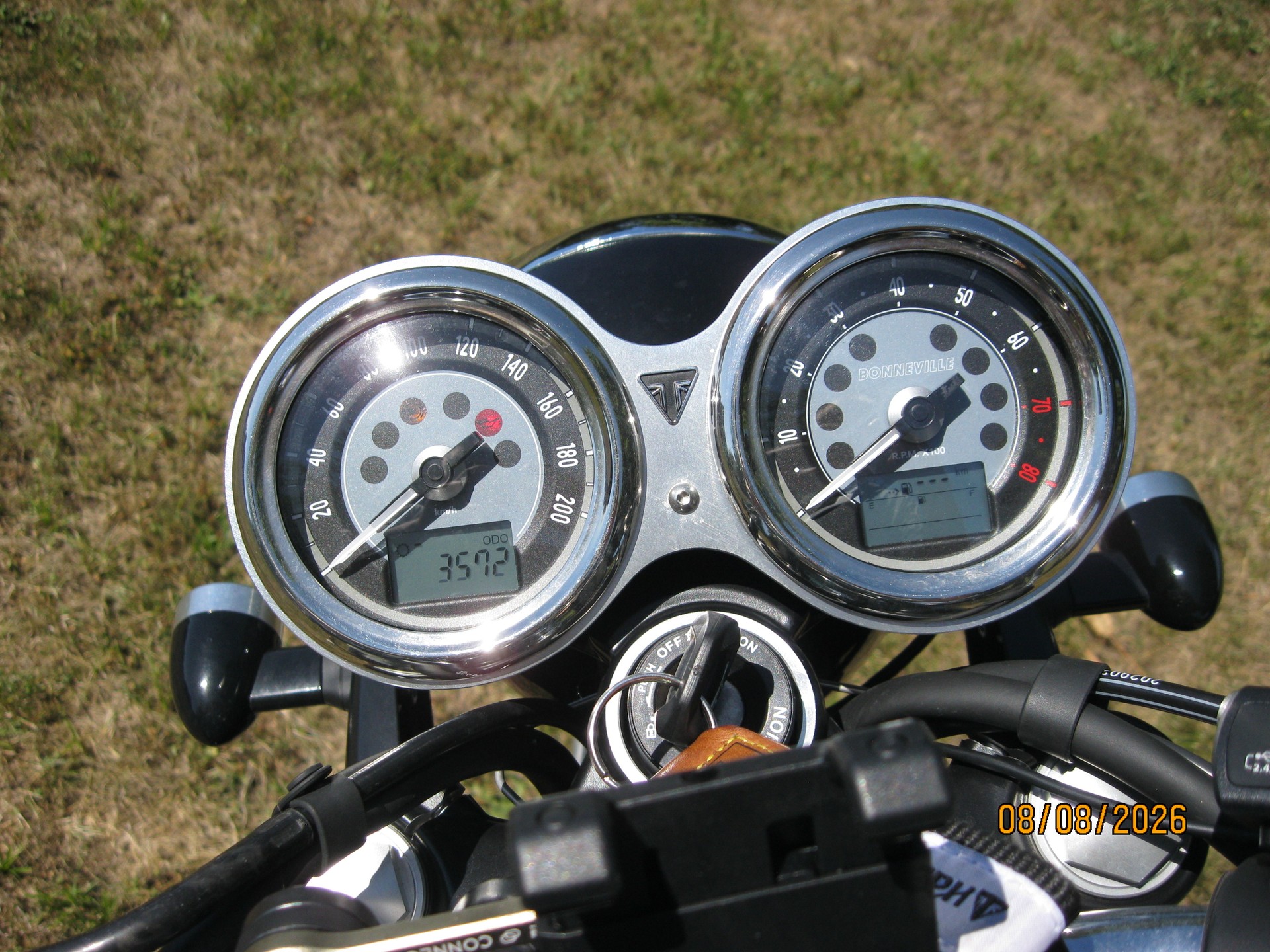 TRIUMPH Bonneville T120 Gold Line-image-3
