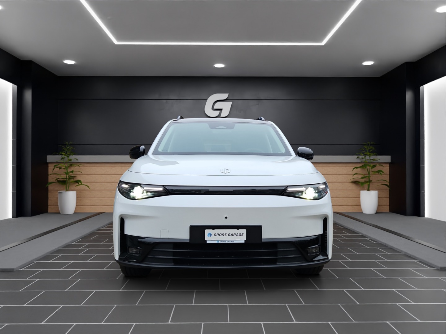 LEAPMOTOR C10 1.5 Hybrid EV-showroom-element-2