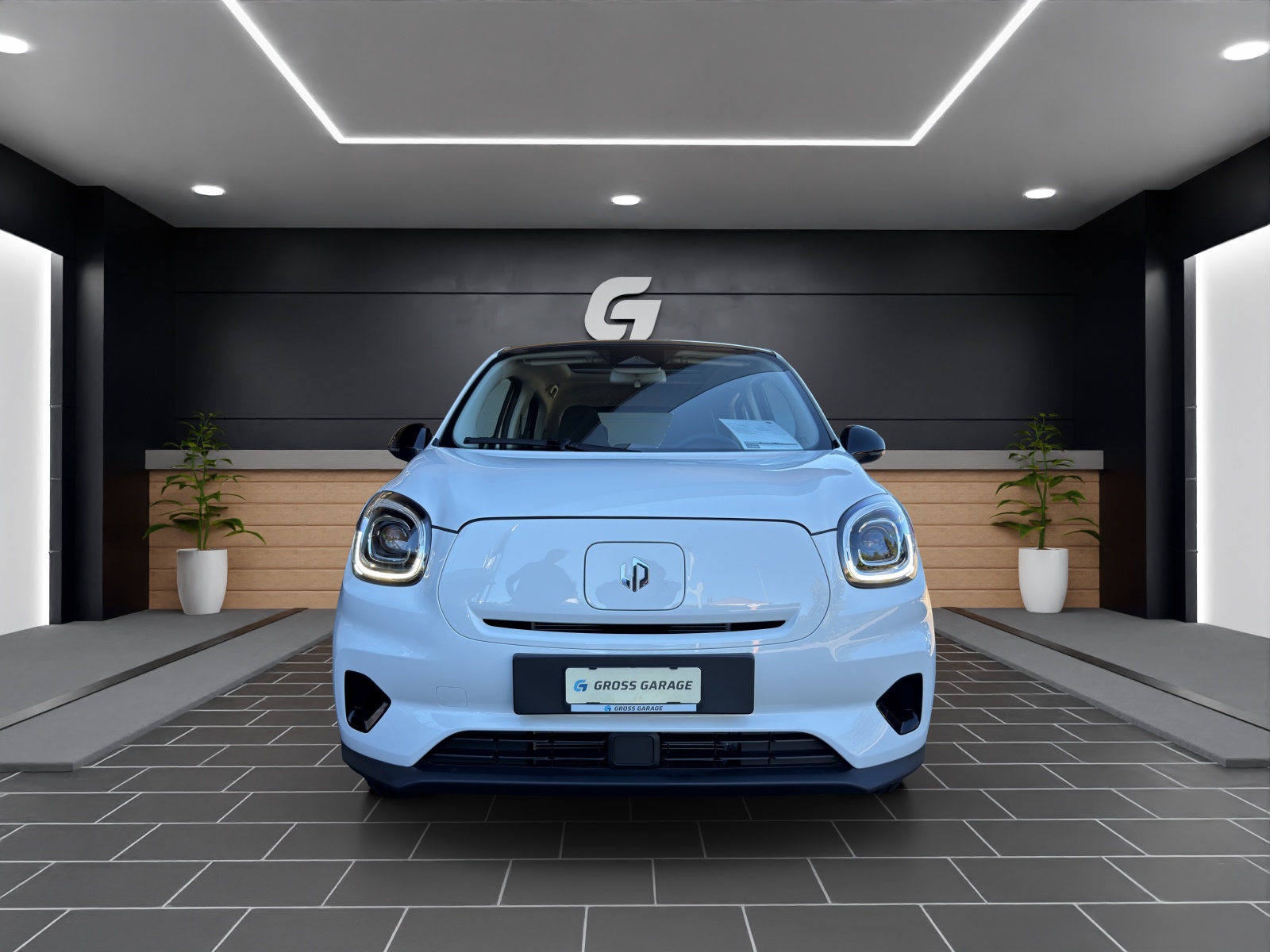 LEAPMOTOR T03 37kWh-showroom-element-1