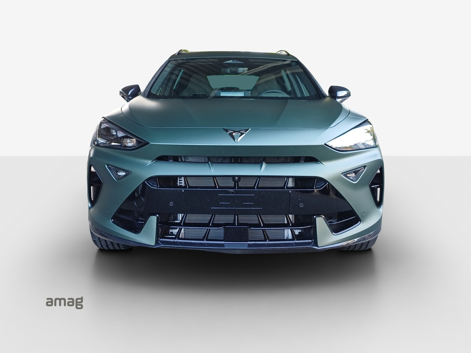CUPRA Formentor 2.0TSI VZ 4Drive DSG-image-6