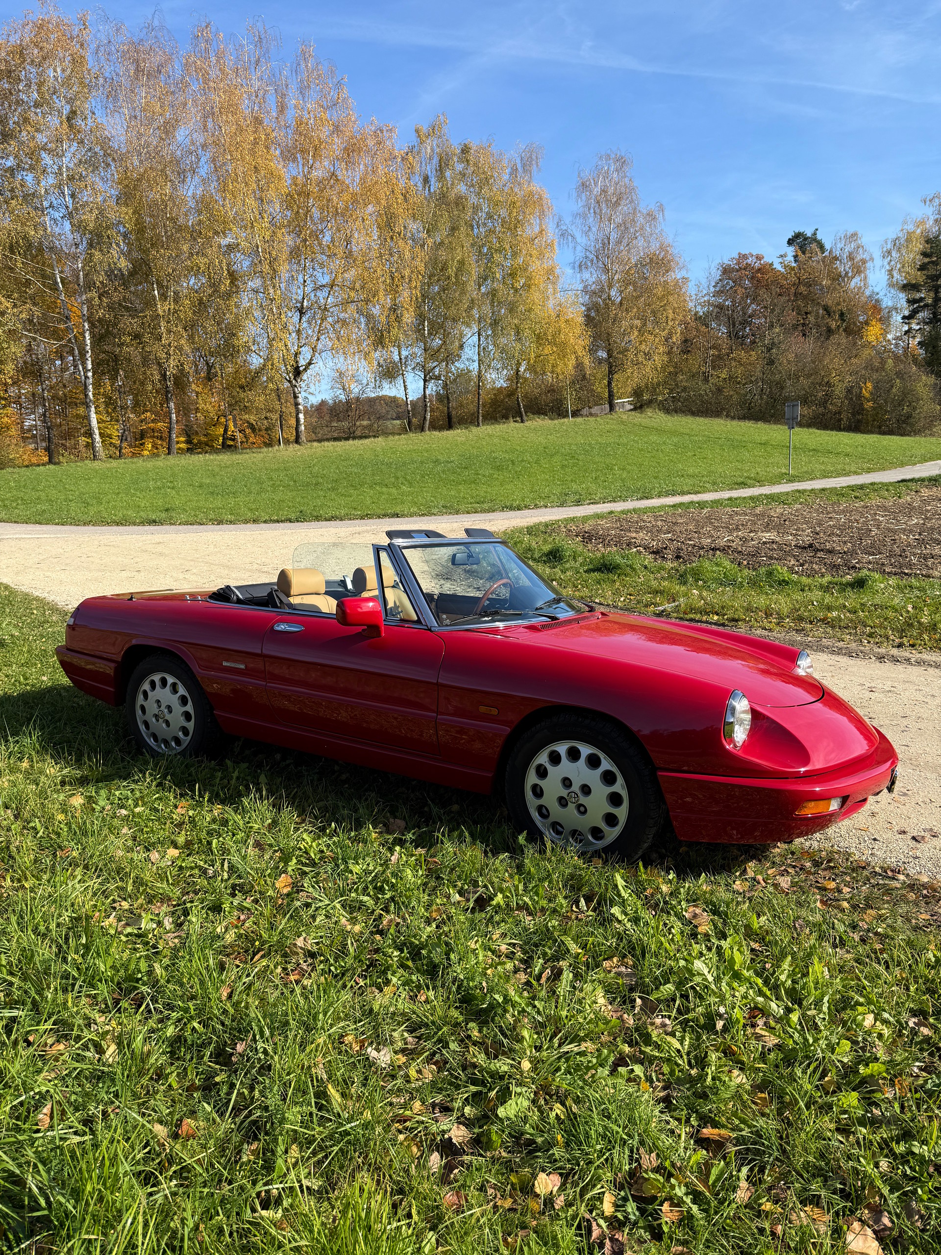 ALFA ROMEO 2.0-image-6