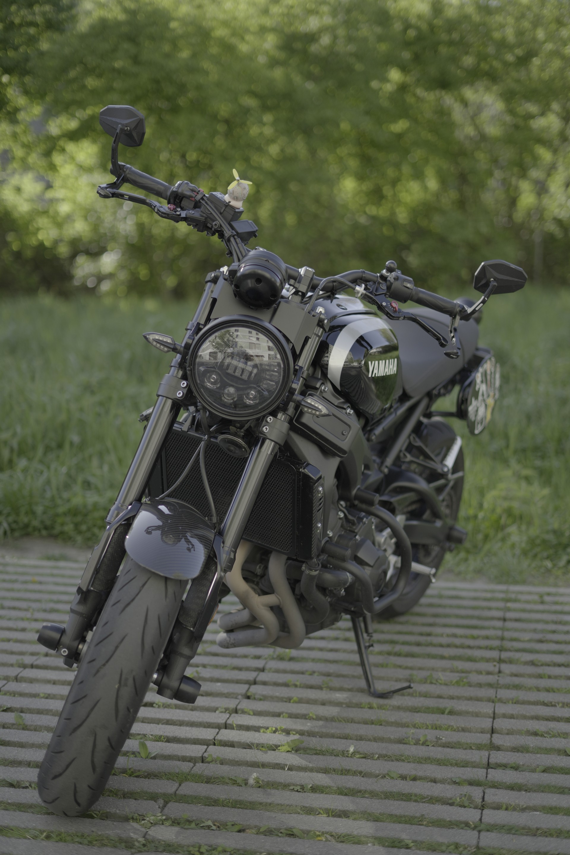 YAMAHA XSR 900-image-1