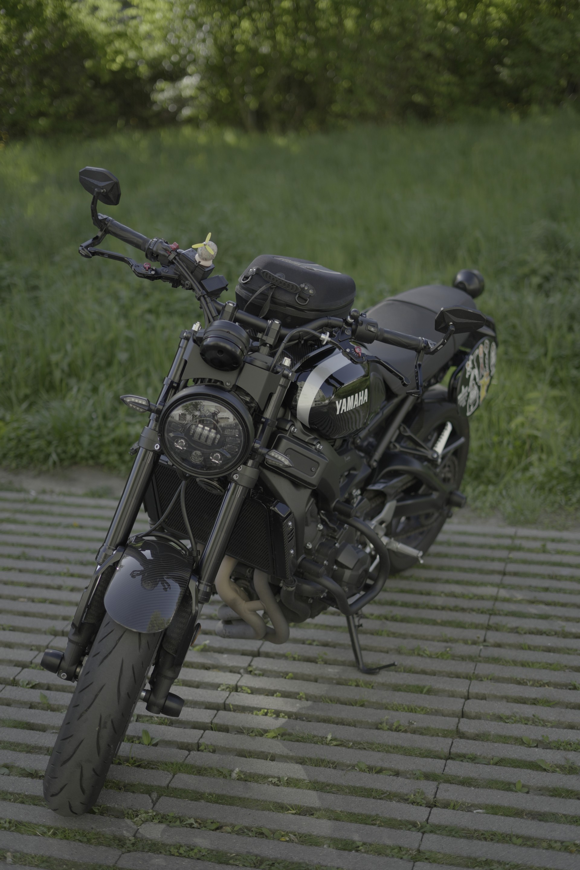 YAMAHA XSR 900-image-3