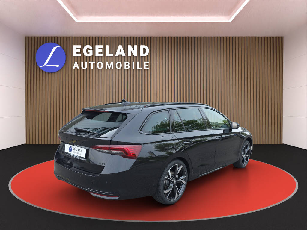 SKODA Octavia Combi 2.0 TSI SportLine 4x4 DSG-showroom-element-3