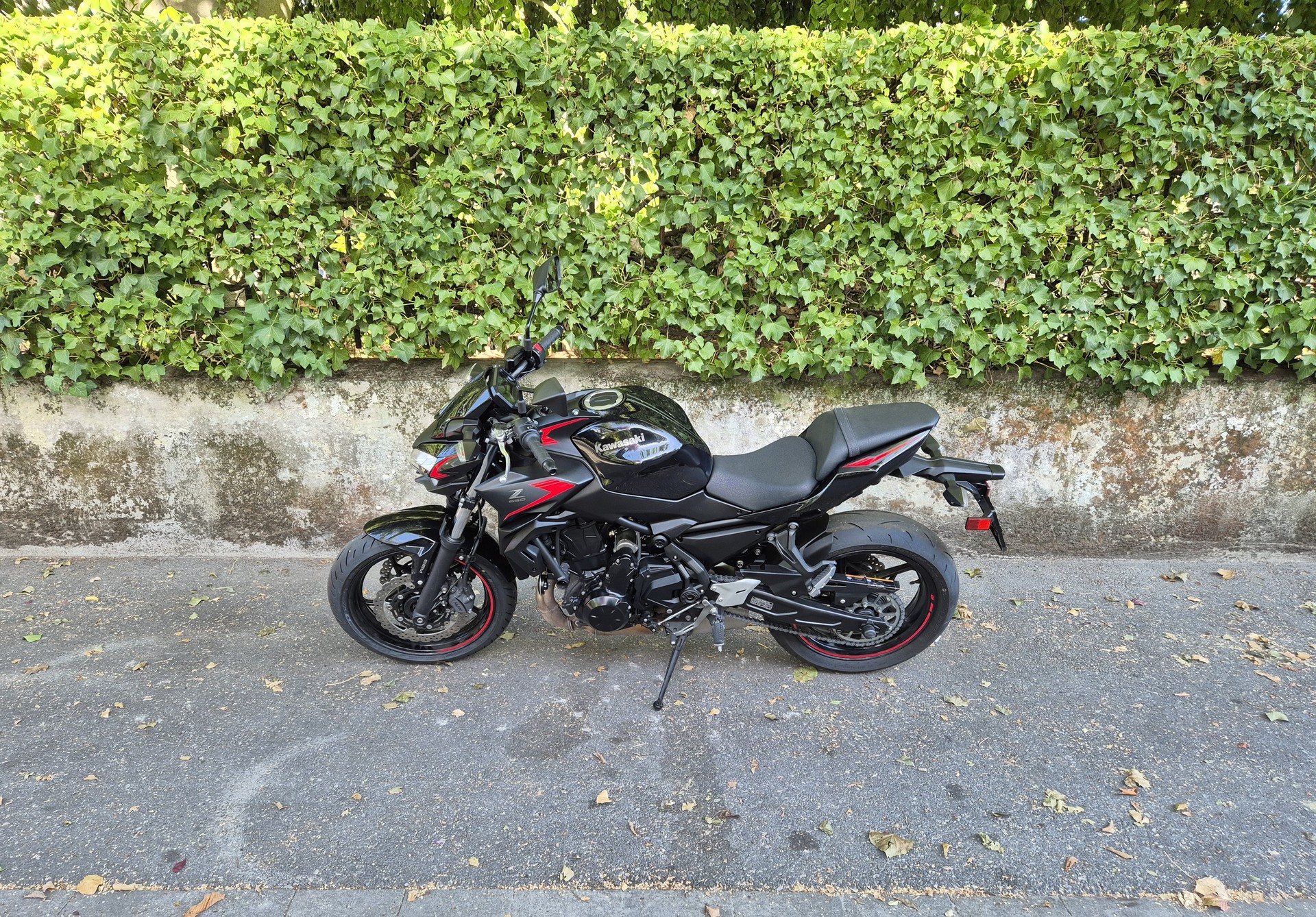 KAWASAKI Z 650 (35kW)-image-3