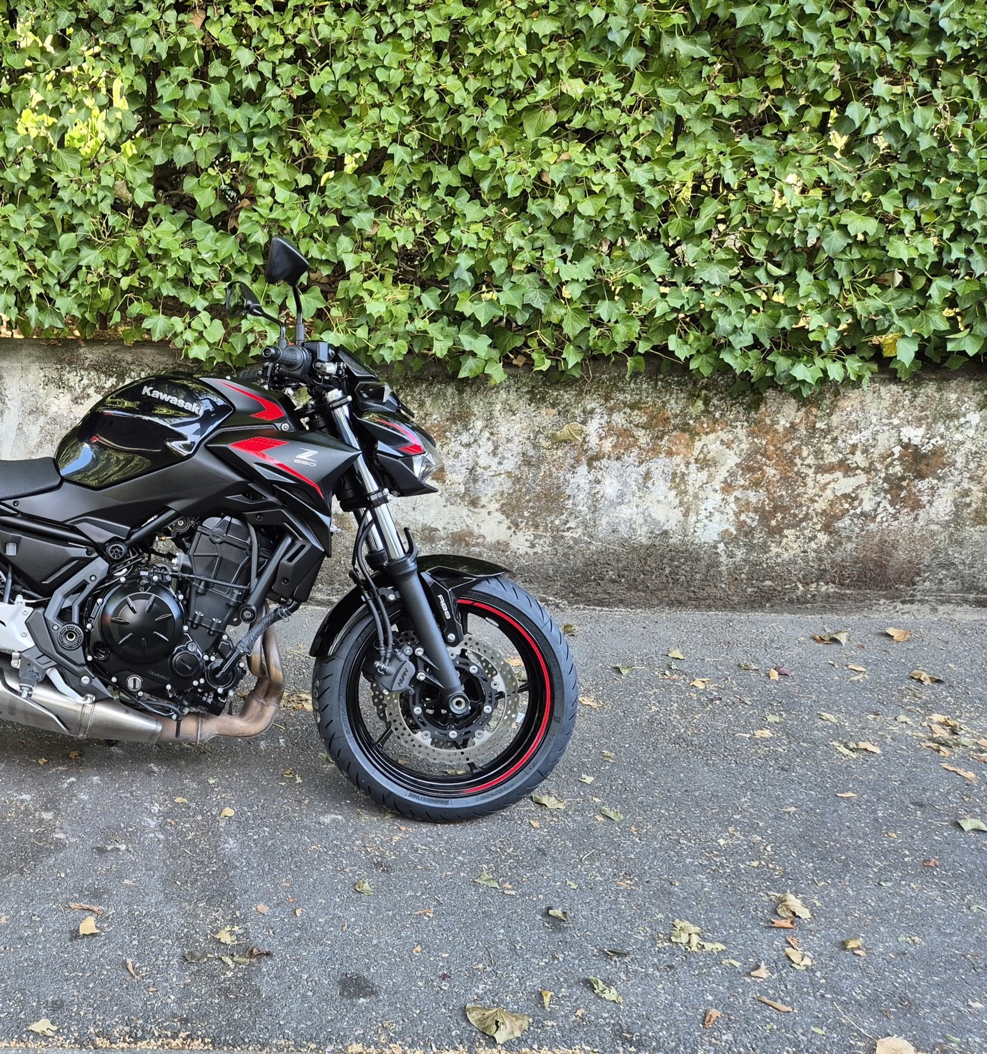 KAWASAKI Z 650 (35kW)-image-11