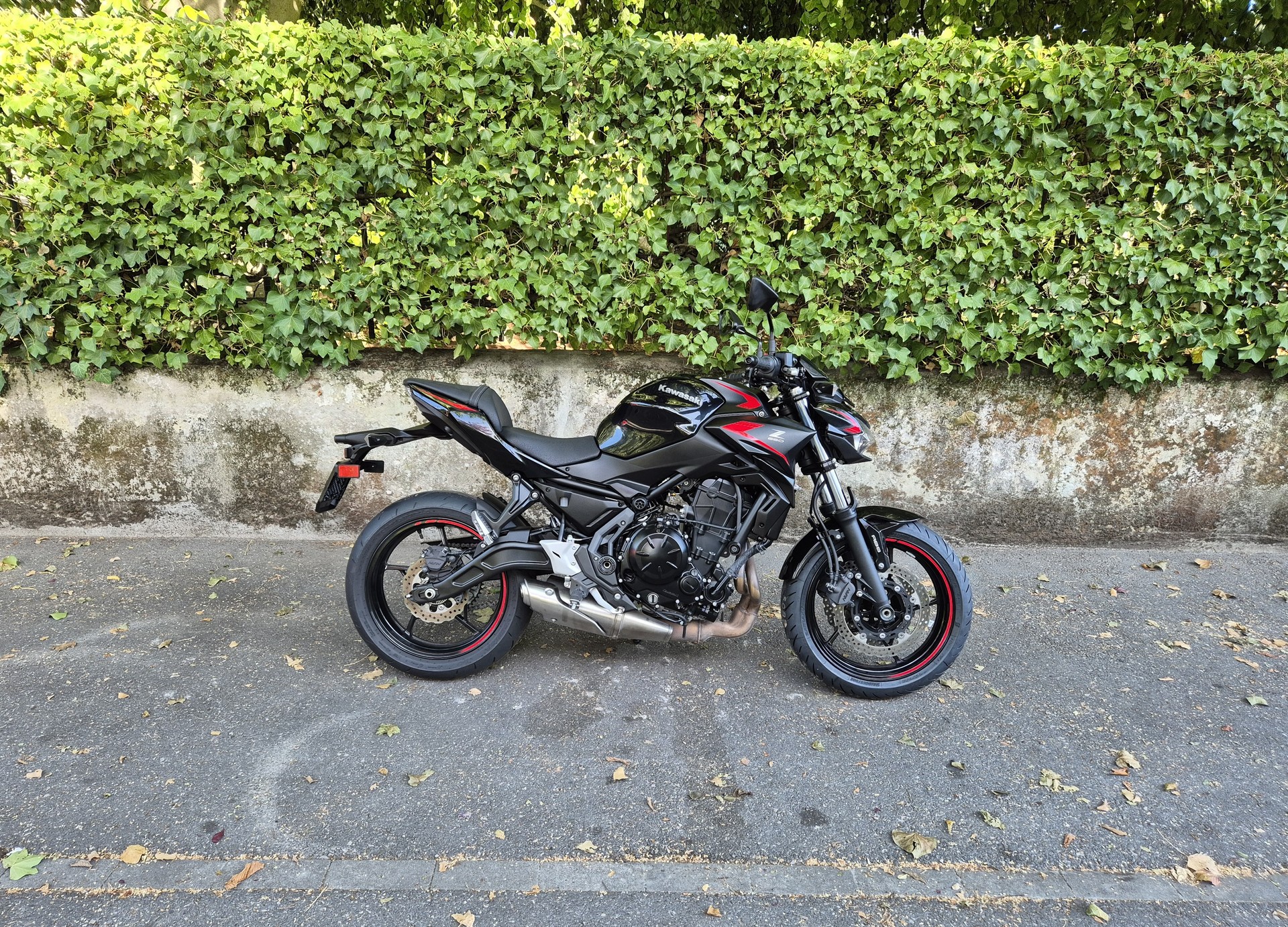 KAWASAKI Z 650 (35kW)-image-0