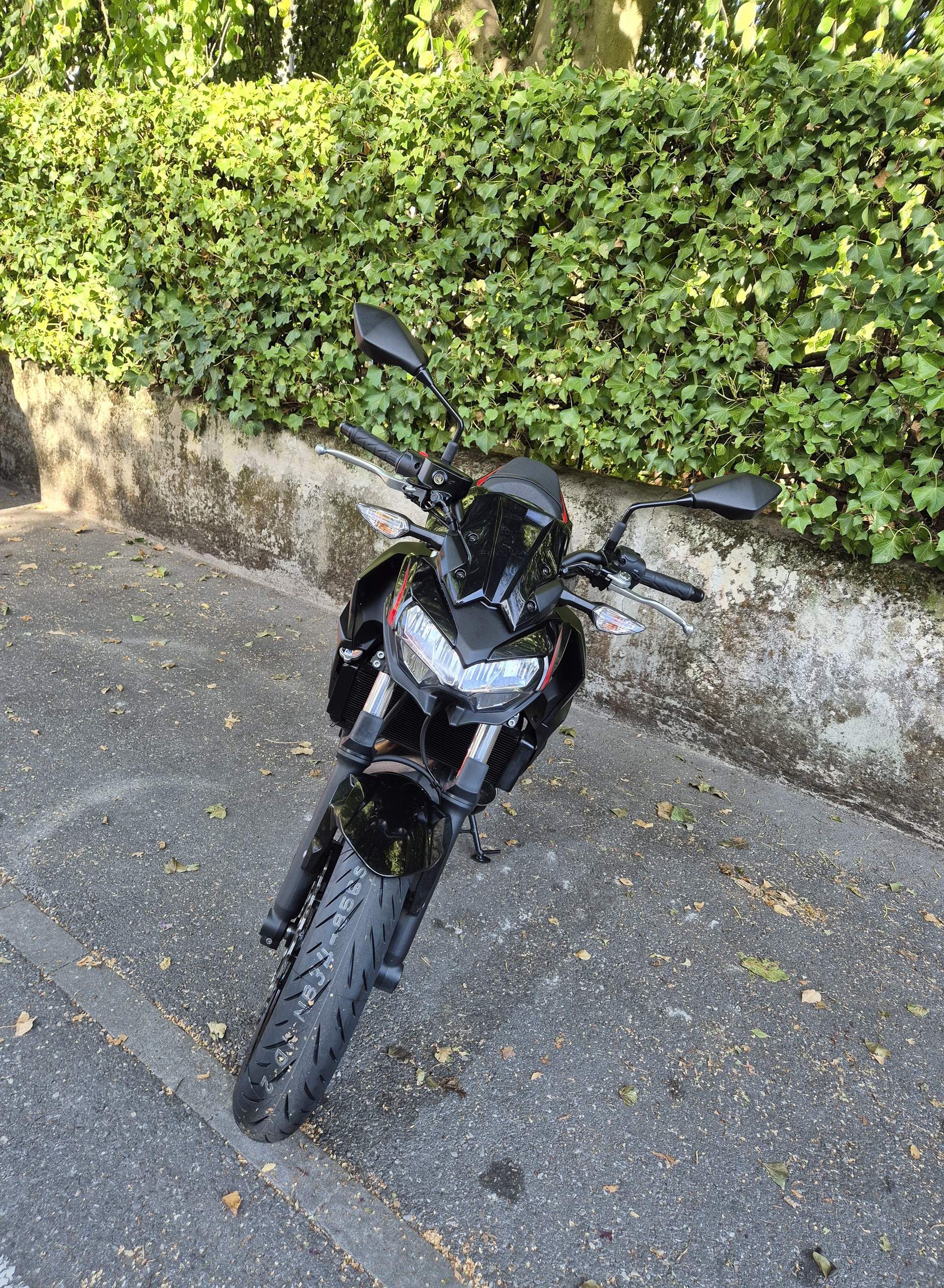 KAWASAKI Z 650 (35kW)-image-6